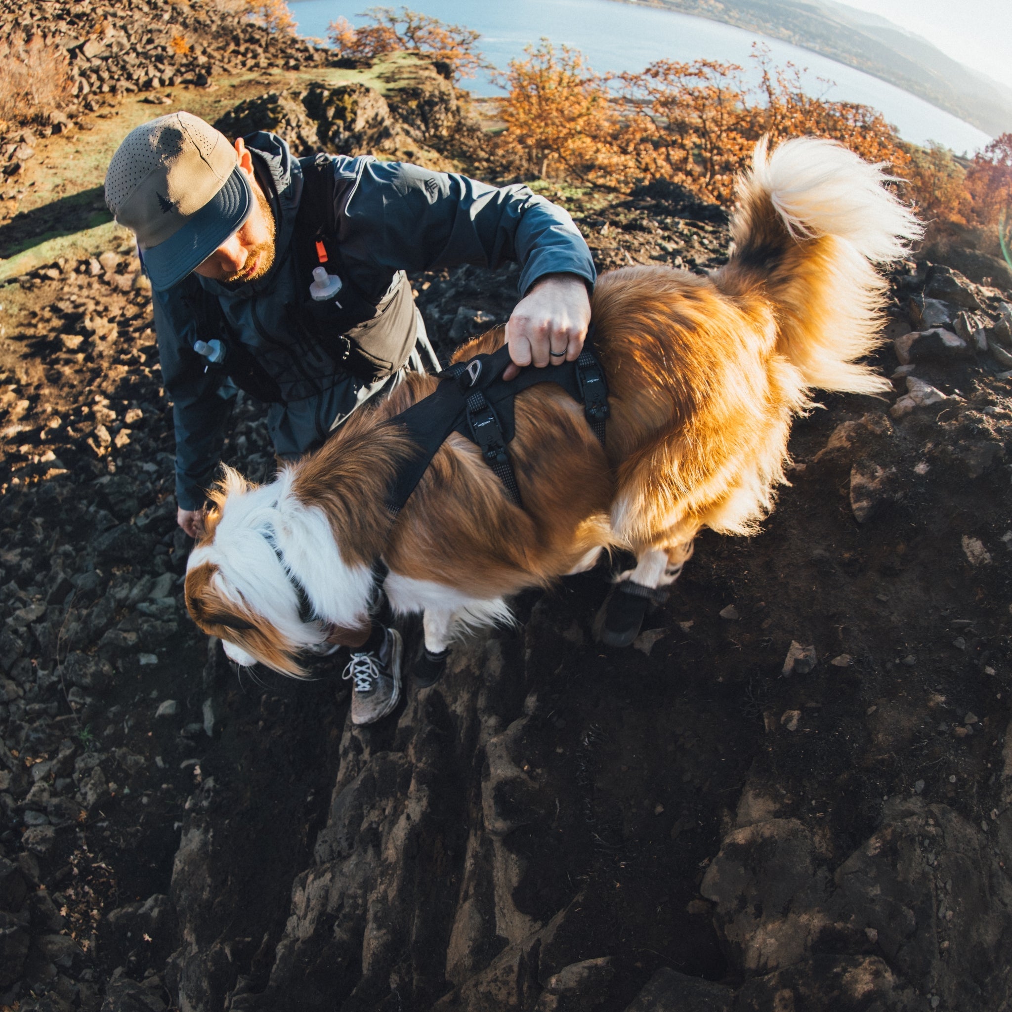 Ruffwear Ridgeline Harness – Ultraleichtes Hundegeschirr für aktive Abenteuer, optimale Bewegungsfreiheit und ganztägigen Tragekomfort - Woofshack