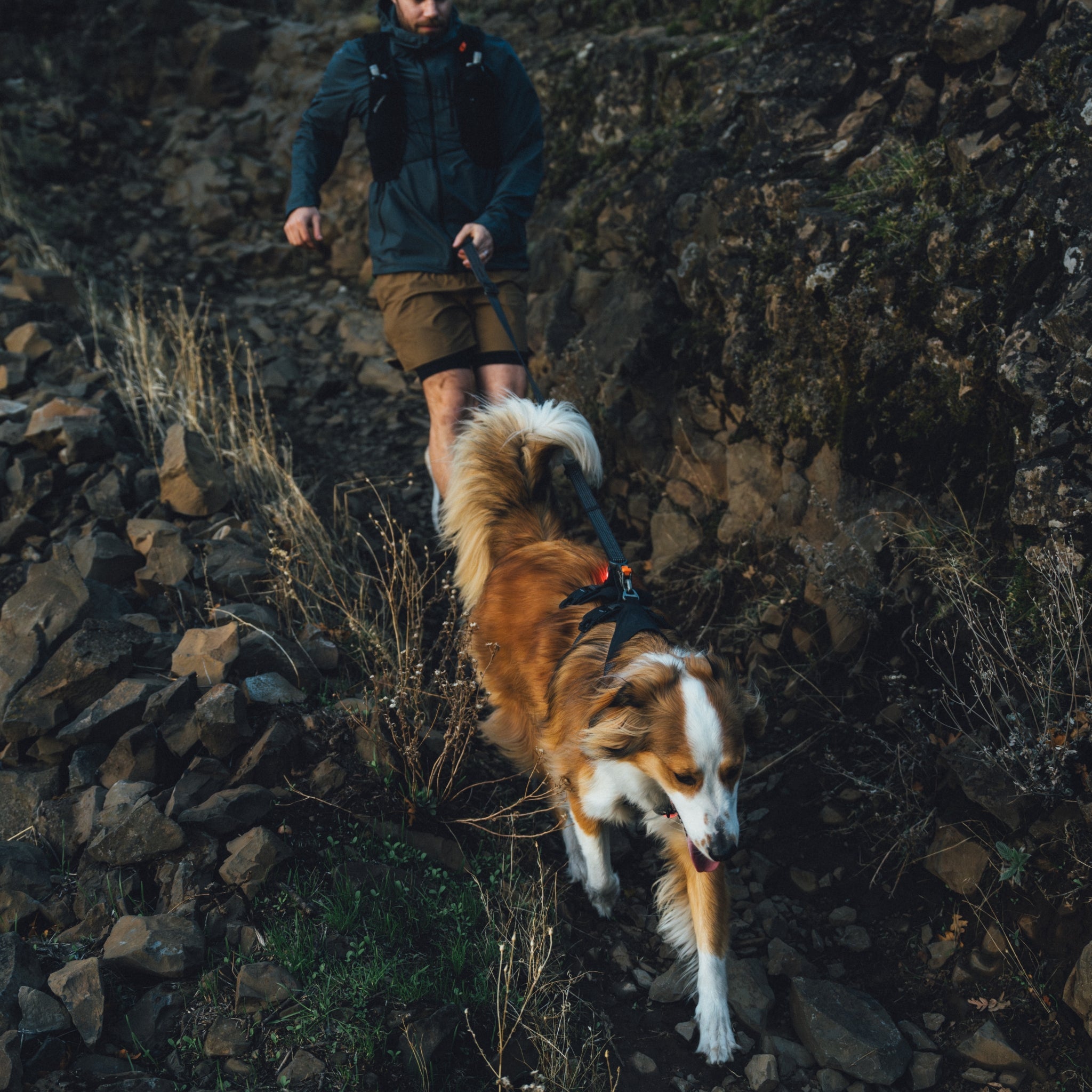 Ruffwear Ridgeline Leash – Reflektierende Hundeleine mit Crux Karabiner für sichere Abenteuer bei Tag und Nacht - Woofshack