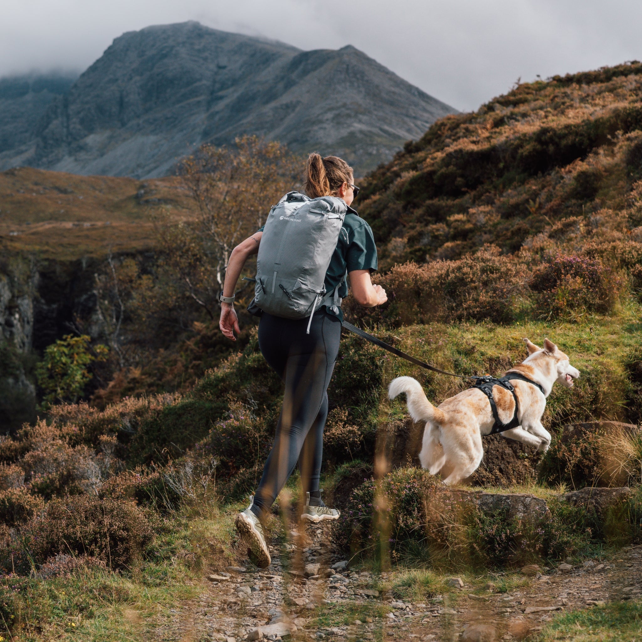 Ruffwear Ridgeline Leash – Reflektierende Hundeleine mit Crux Karabiner für sichere Abenteuer bei Tag und Nacht - Woofshack