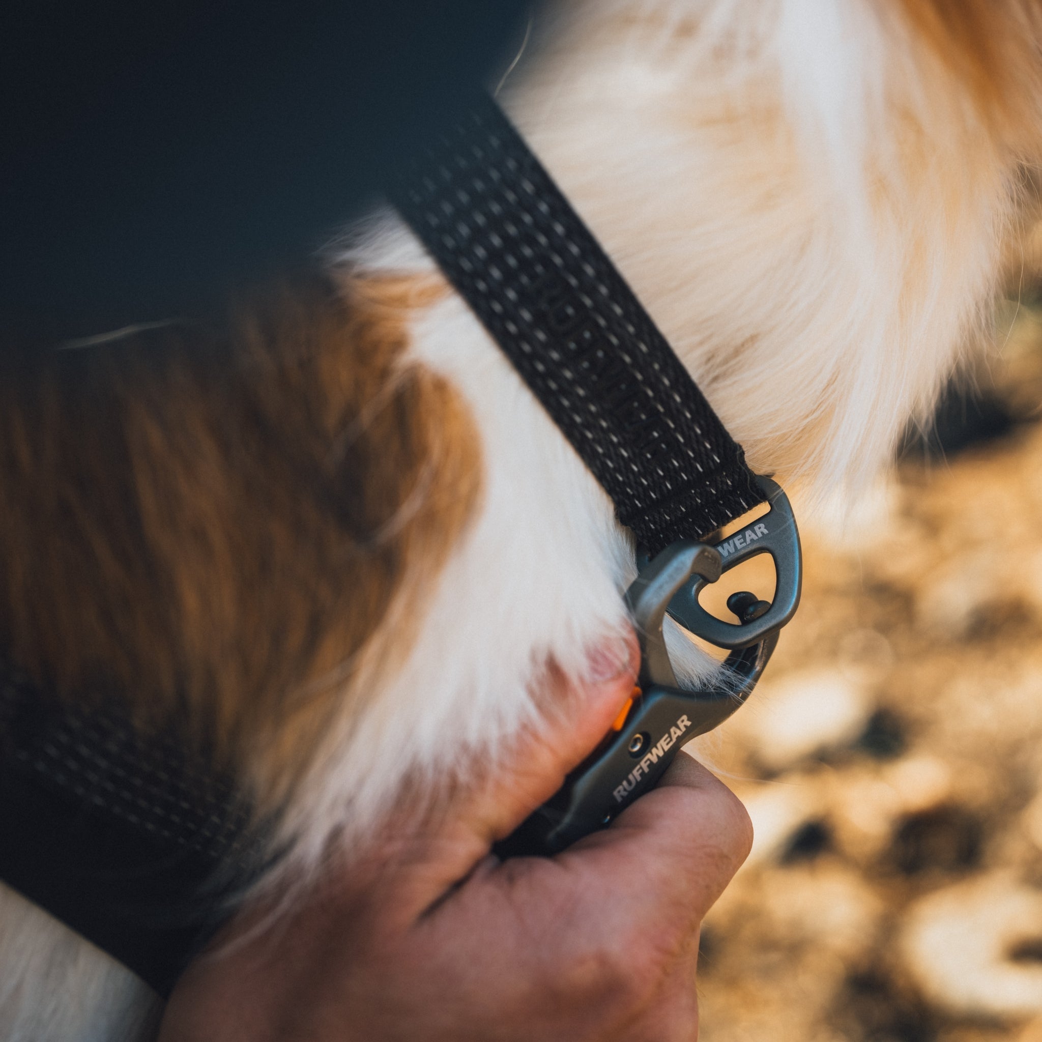 Ruffwear Ridgeline Leash – Reflektierende Hundeleine mit Crux Karabiner für sichere Abenteuer bei Tag und Nacht - Woofshack