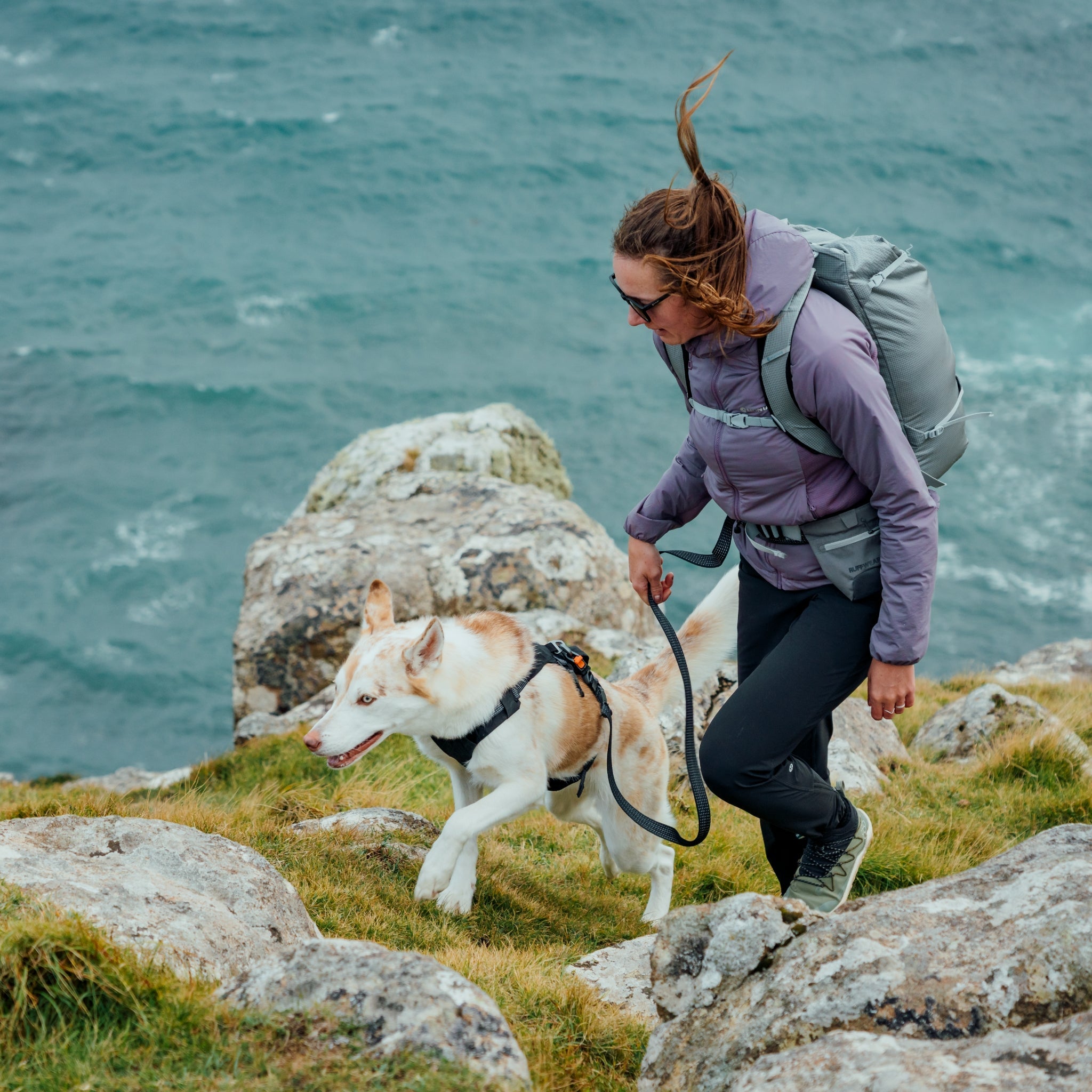 Ruffwear Ridgeline Leash – Reflektierende Hundeleine mit Crux Karabiner für sichere Abenteuer bei Tag und Nacht - Woofshack