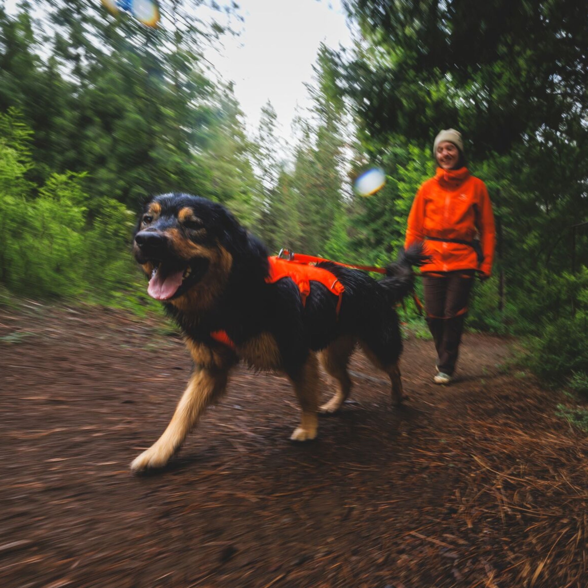 Ruffwear Rogue Long Line – Schleppleine 6,1 Meter für Rückruftraining, Freilauf & Geländeeinsatz mit verriegelbarem Karabiner - Woofshack