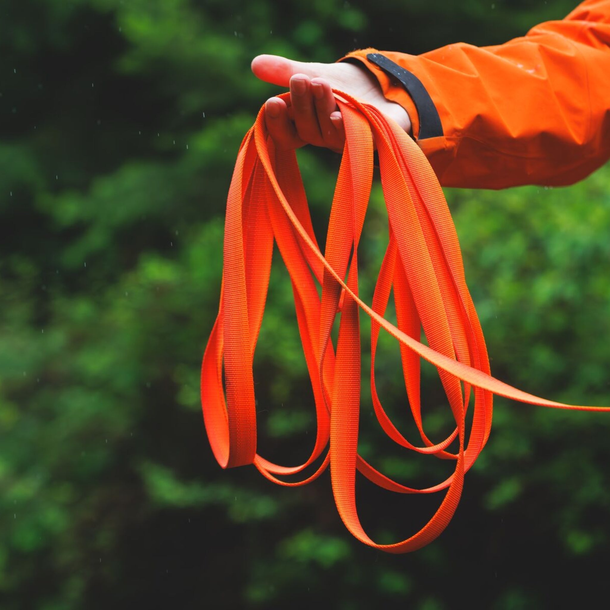 Ruffwear Rogue Long Line – Schleppleine 6,1 Meter für Rückruftraining, Freilauf & Geländeeinsatz mit verriegelbarem Karabiner - Woofshack