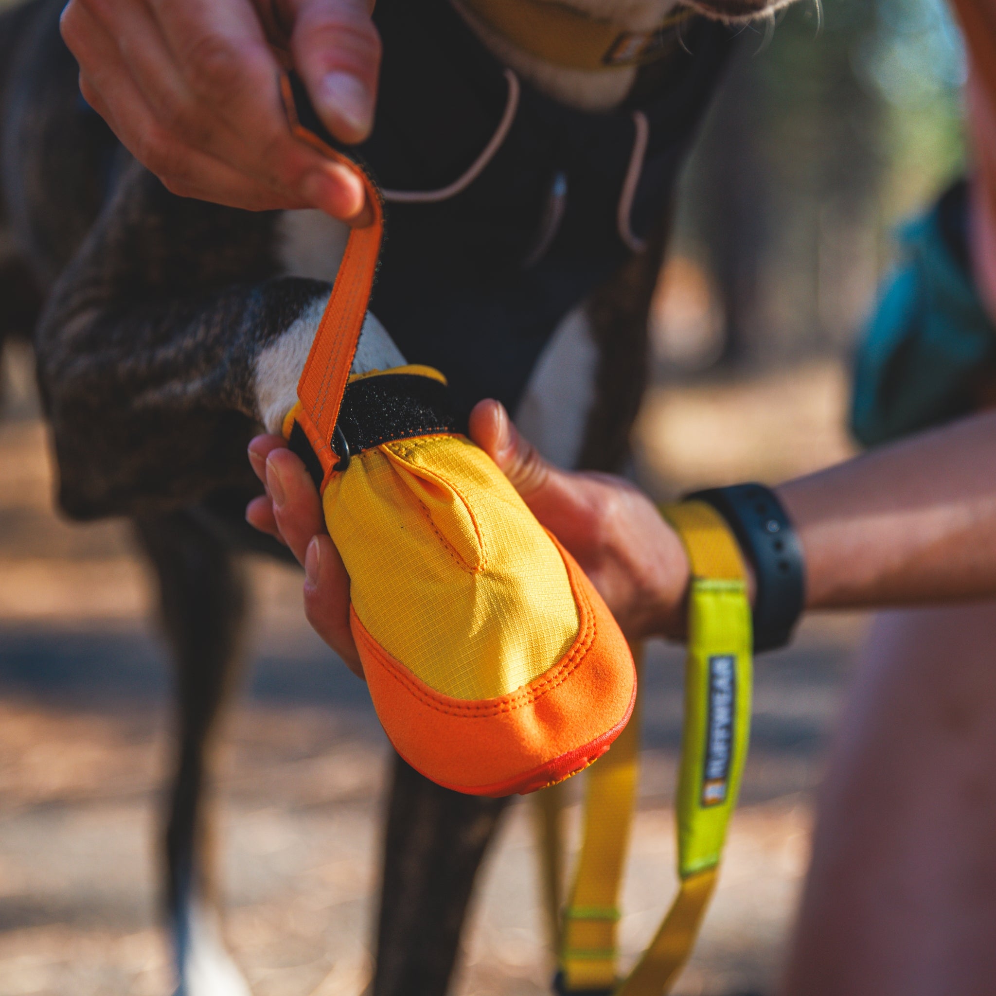 Ruffwear Summit Trex Hundeschuhe – Ultimativer Pfotenschutz mit rutschfester Sohle für Wanderungen, Stadt & Alltag bei jedem Wetter