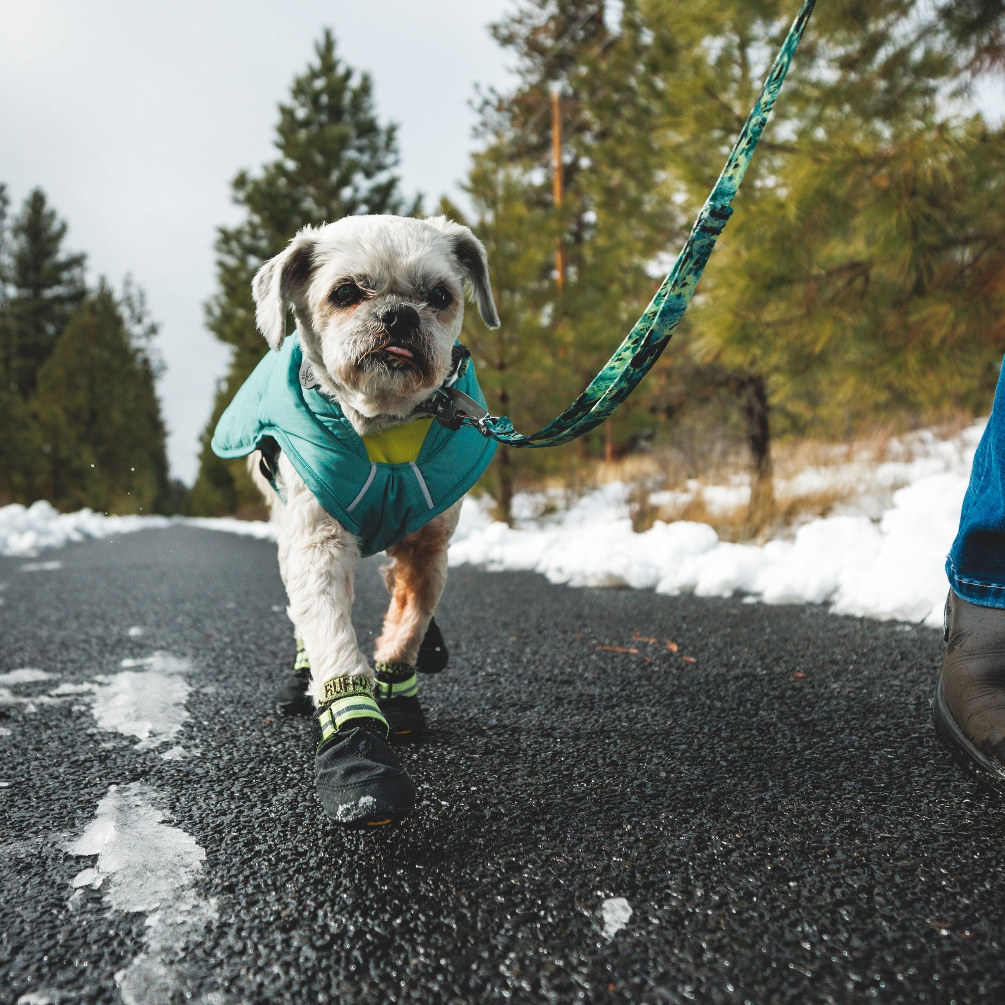 Ruffwear Summit Trex Hundeschuhe – Ultimativer Pfotenschutz mit rutschfester Sohle für Wanderungen, Stadt & Alltag bei jedem Wetter - Woofshack
