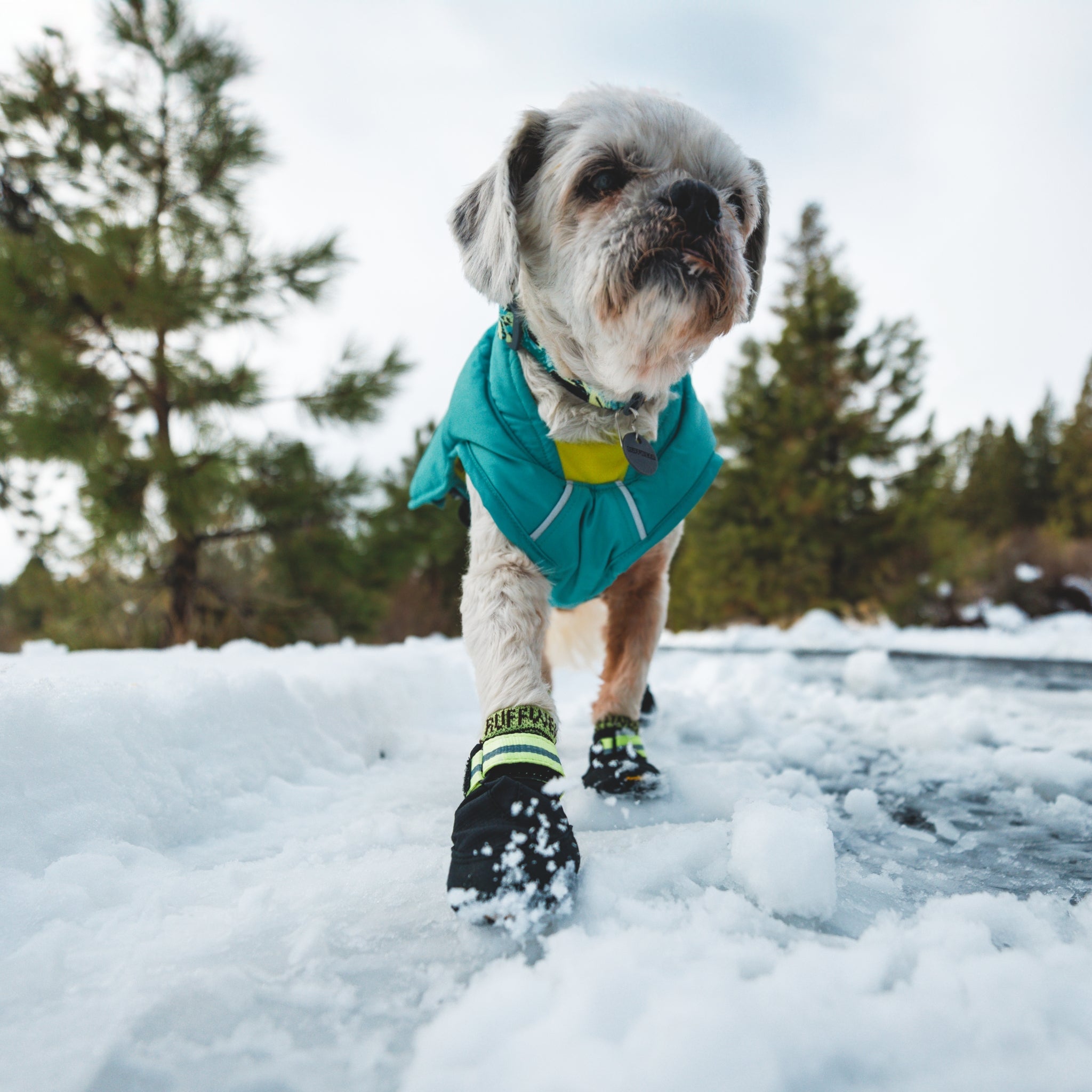 Ruffwear Summit Trex Hundeschuhe – Ultimativer Pfotenschutz mit rutschfester Sohle für Wanderungen, Stadt & Alltag bei jedem Wetter - Woofshack