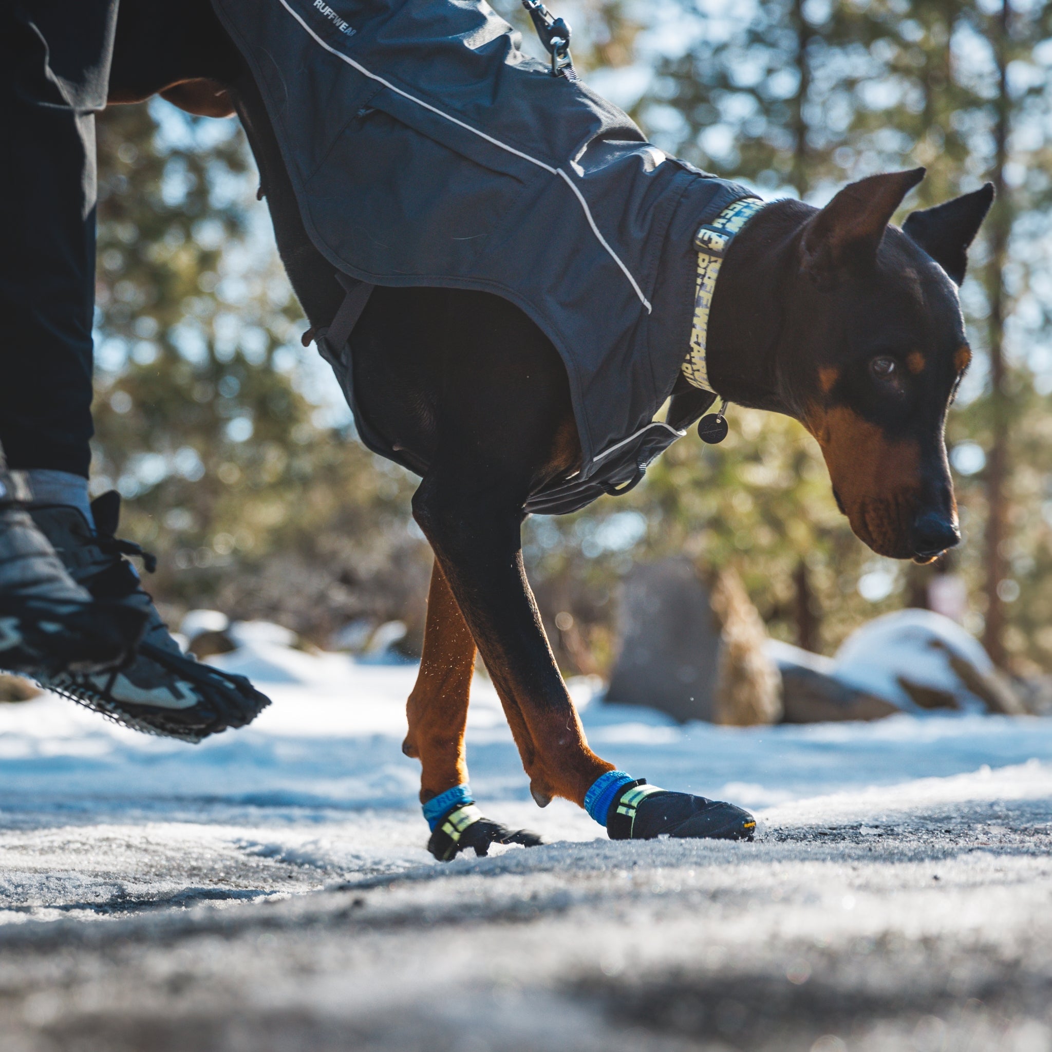 Ruffwear Summit Trex Hundeschuhe – Ultimativer Pfotenschutz mit rutschfester Sohle für Wanderungen, Stadt & Alltag bei jedem Wetter - Woofshack