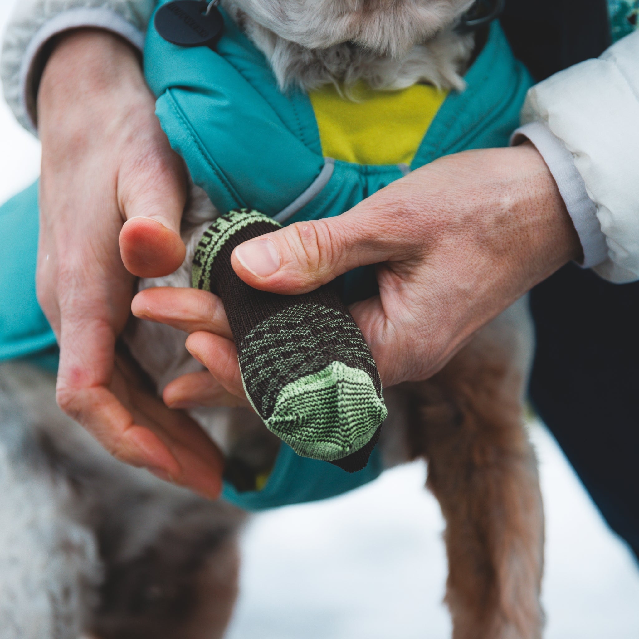 Ruffwear Summit Trex Hundeschuhe – Ultimativer Pfotenschutz mit rutschfester Sohle für Wanderungen, Stadt & Alltag bei jedem Wetter - Woofshack