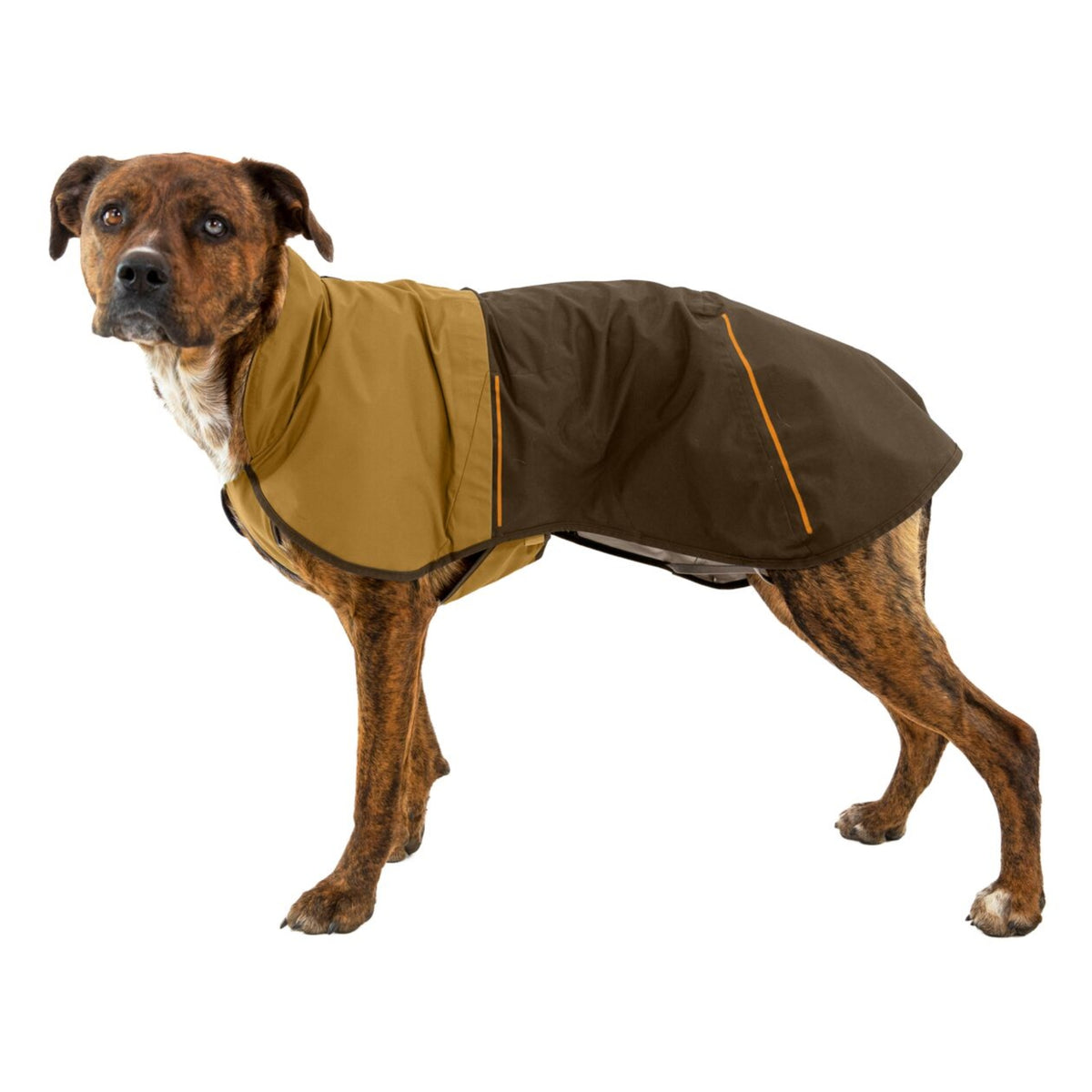 Ruffwear Sun Shower Hundemantel – Wasserdichter Outdoor-Regenmantel für Hunde | Schützt bei Wind & Wetter, Sturm & Schnee | Trockener Hund, glücklicher Mensch