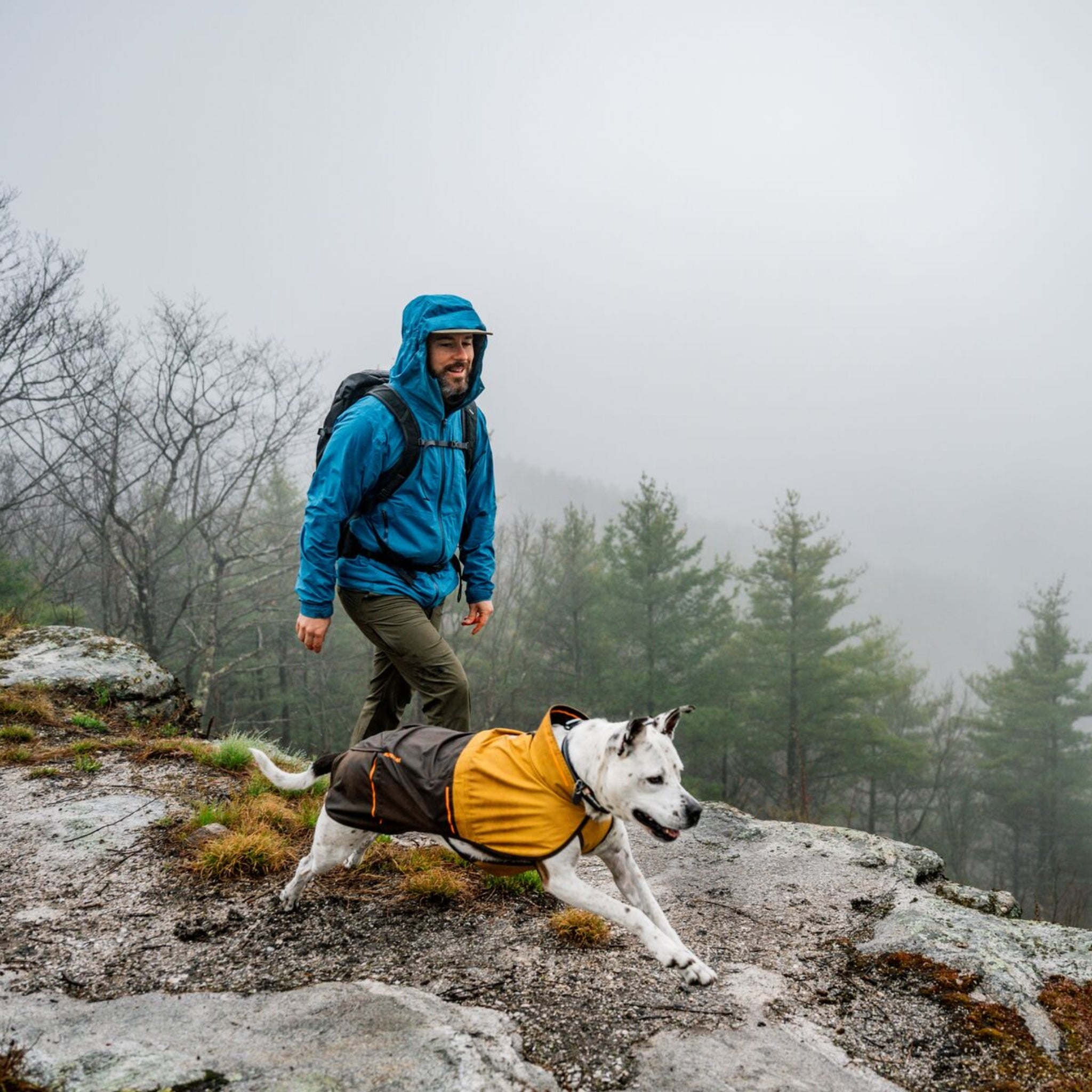 Ruffwear Sun Shower Hundemantel – Wasserdichter Outdoor-Regenmantel für Hunde | Schützt bei Wind & Wetter, Sturm & Schnee | Trockener Hund, glücklicher Mensch