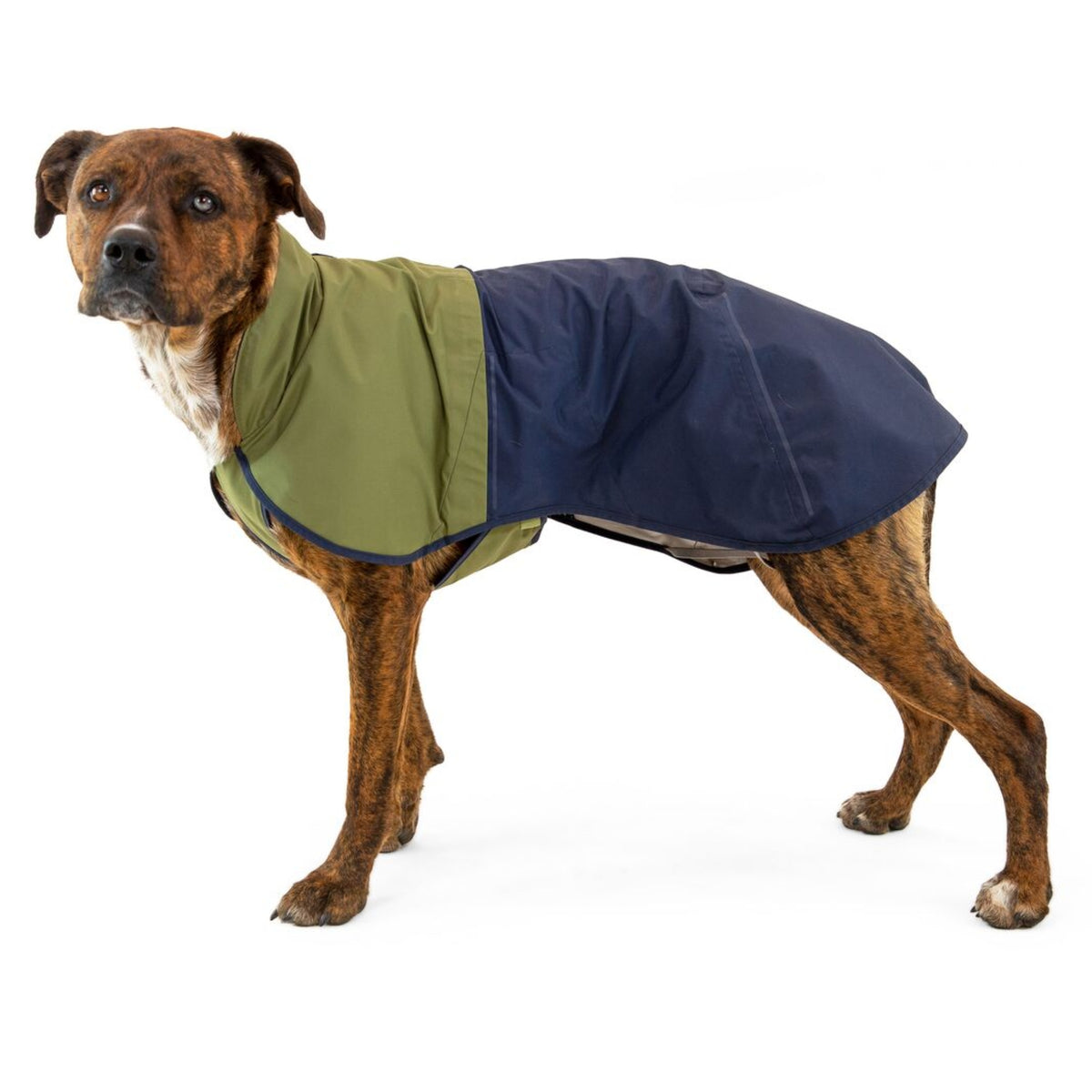 Ruffwear Sun Shower Hundemantel – Wasserdichter Outdoor-Regenmantel für Hunde | Schützt bei Wind & Wetter, Sturm & Schnee | Trockener Hund, glücklicher Mensch