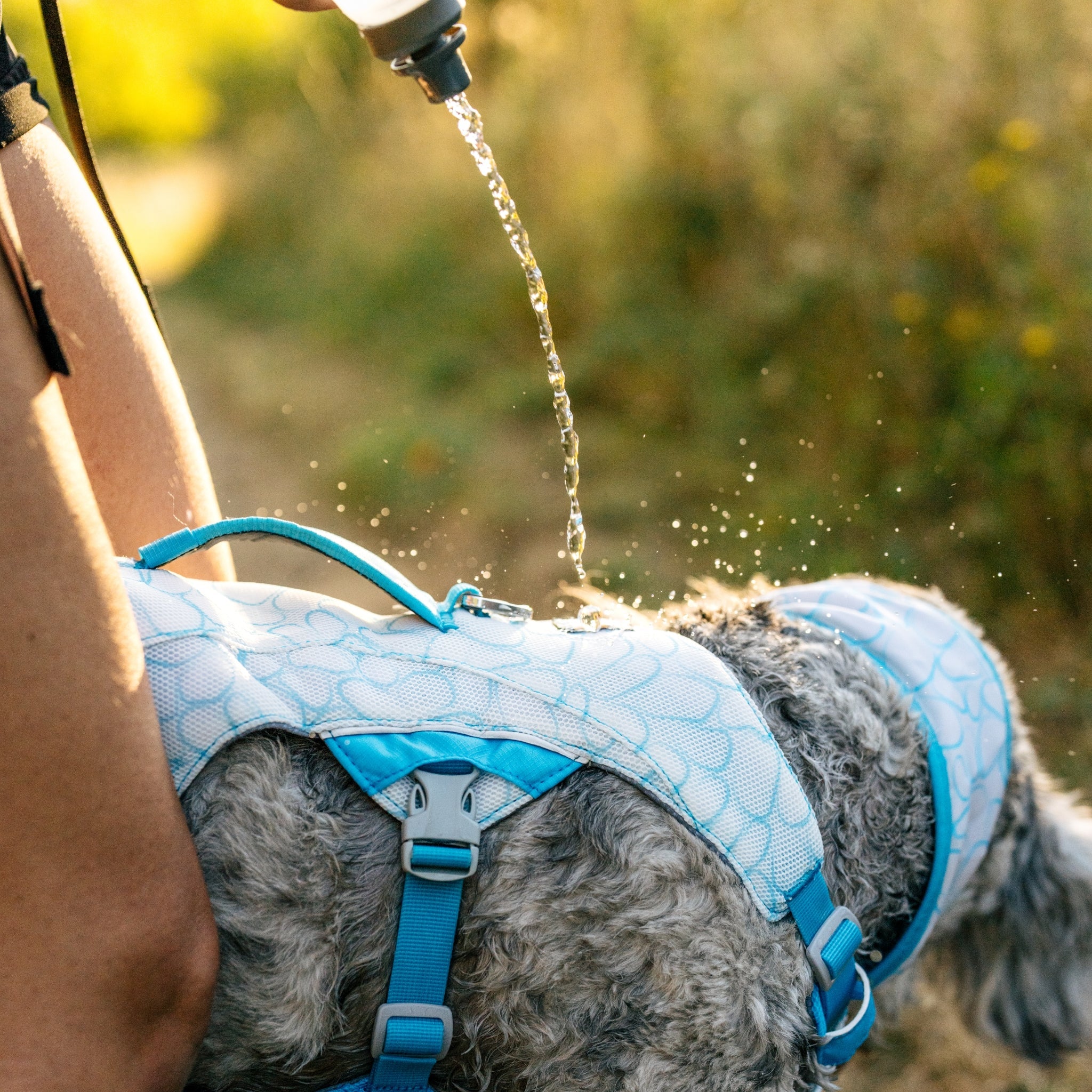 Ruffwear Swamp Cooler Harness – Kühlgeschirr für Hunde bei Hitze mit reflektierenden Elementen - Woofshack