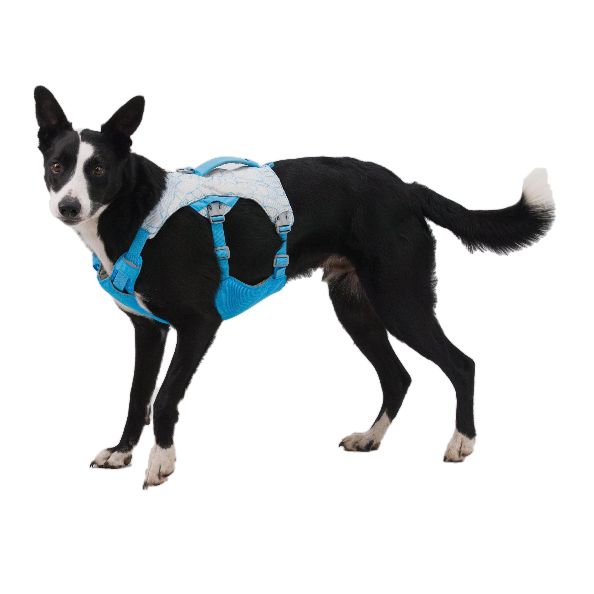 Ruffwear Swamp Cooler Harness – Kühlgeschirr für Hunde bei Hitze mit reflektierenden Elementen - Woofshack
