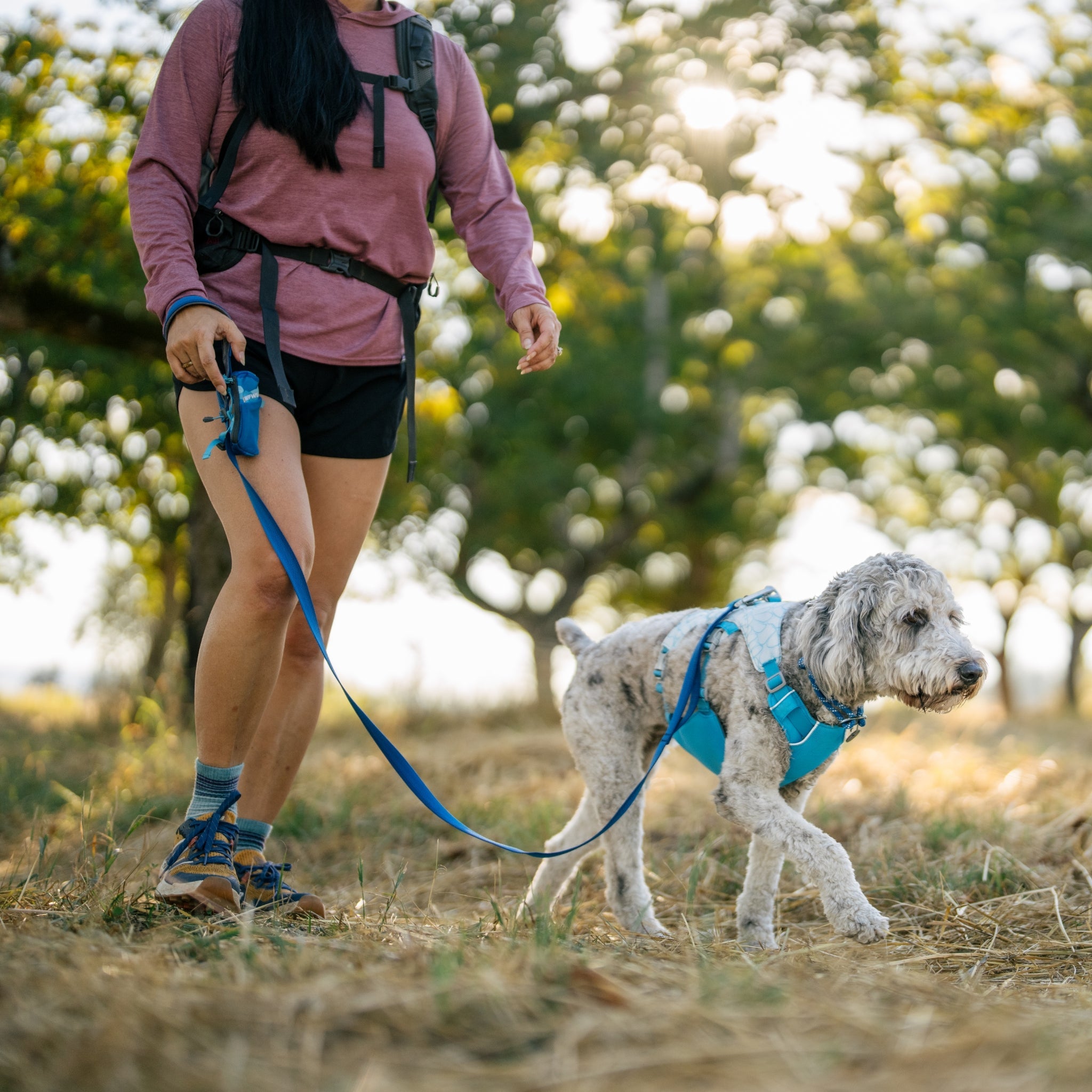 Ruffwear Swamp Cooler Harness – Kühlgeschirr für Hunde bei Hitze mit reflektierenden Elementen - Woofshack