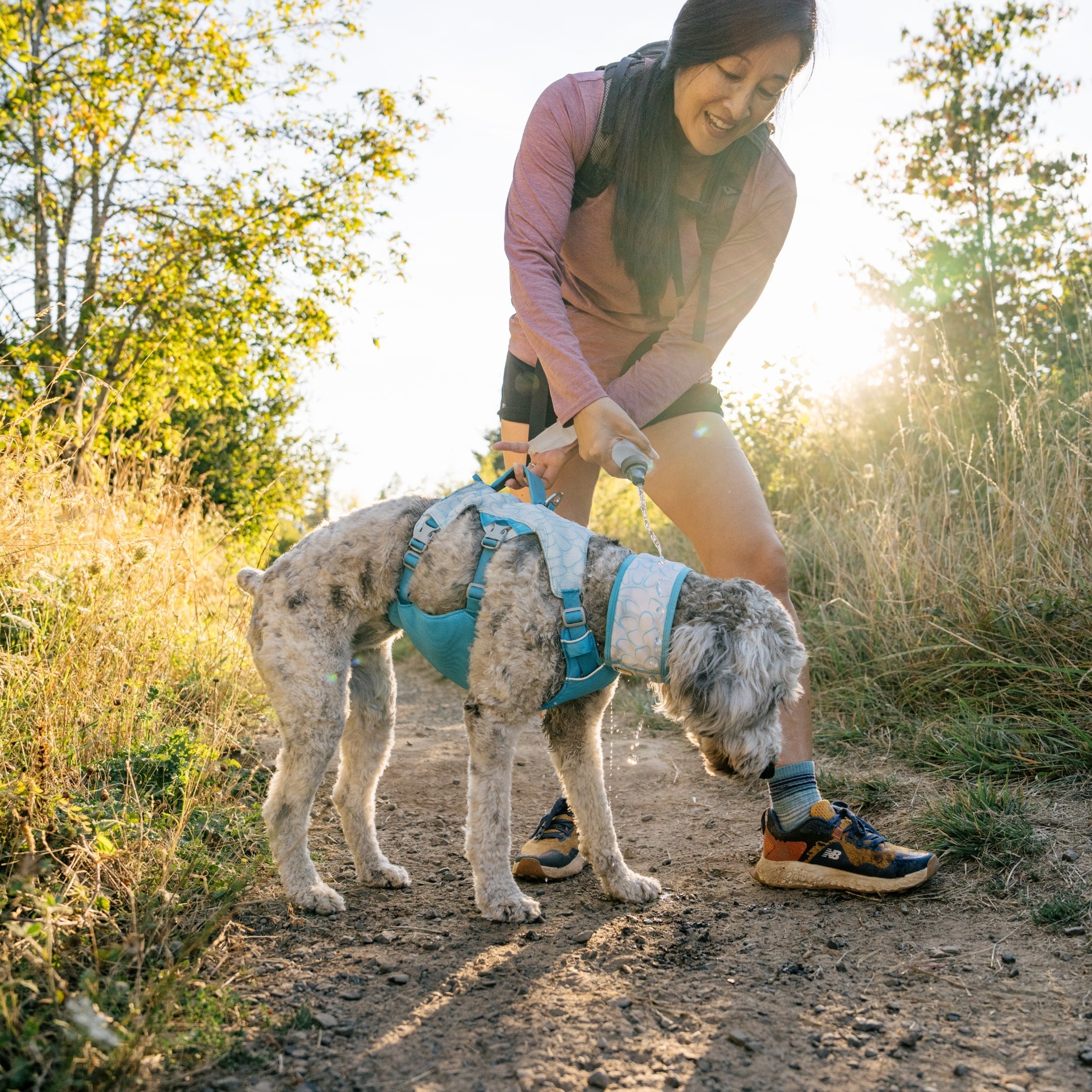 Ruffwear Swamp Cooler Harness – Kühlgeschirr für Hunde bei Hitze mit reflektierenden Elementen - Woofshack