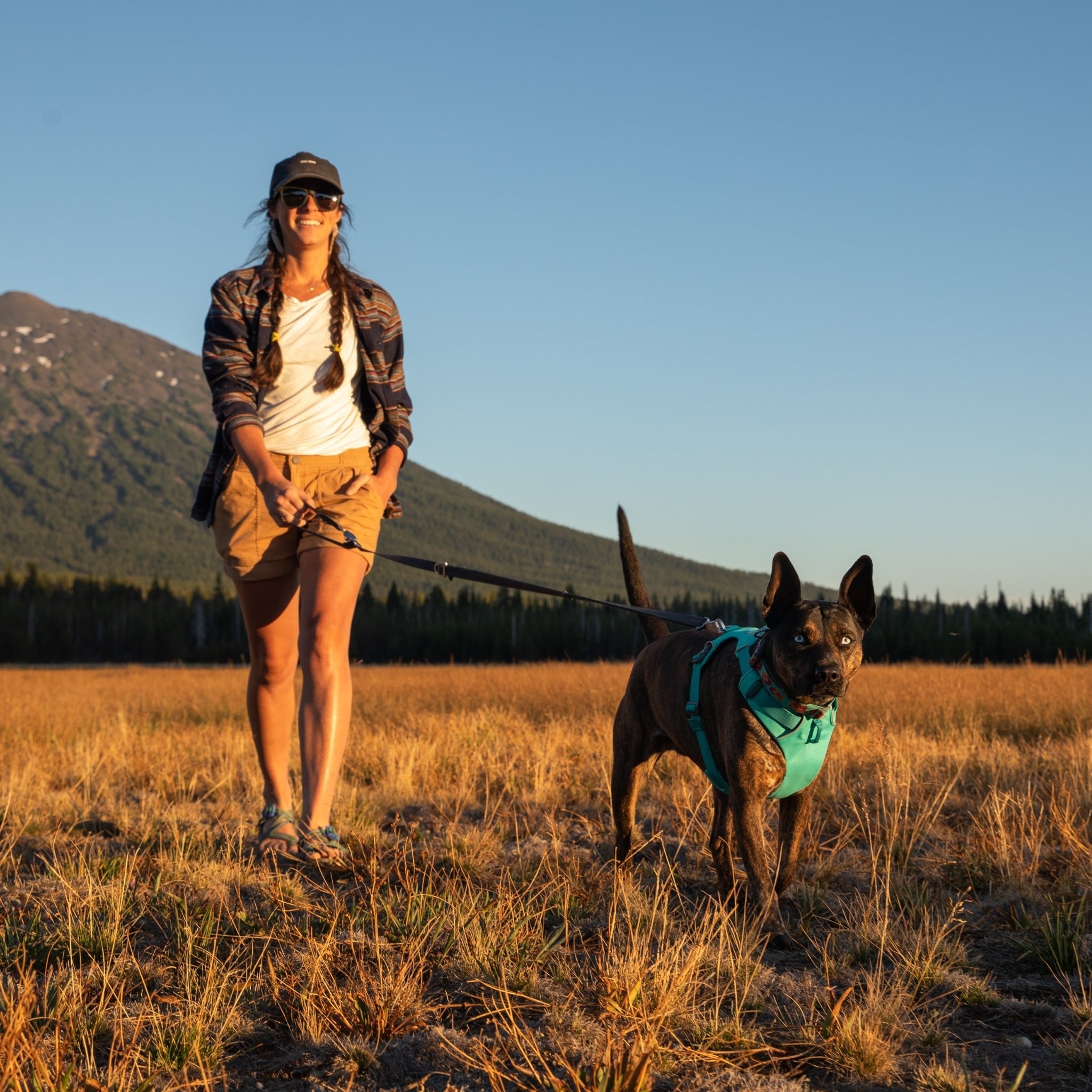 Ruffwear Switchbak Hundeleine - Rutschfester Griff für Kontrolle bei Nässe & Regen - Woofshack