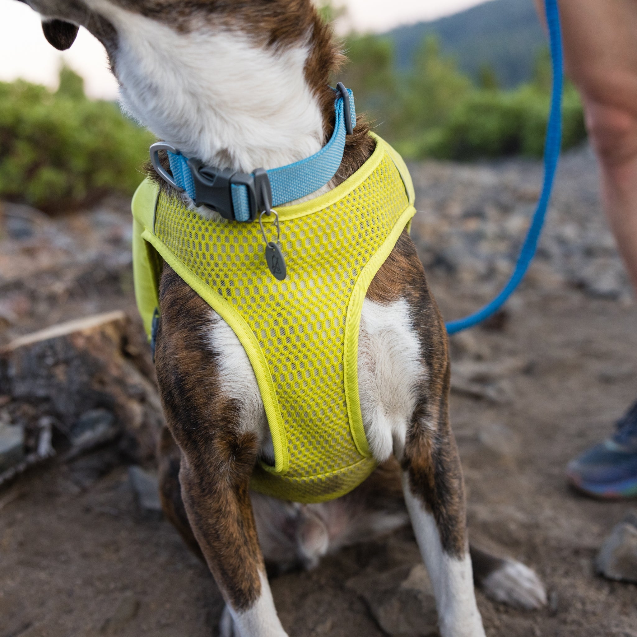 Ruffwear Trail Runner Running Vest – Ultraleichte Laufweste & Trinkrucksack für aktive Hunde - Woofshack