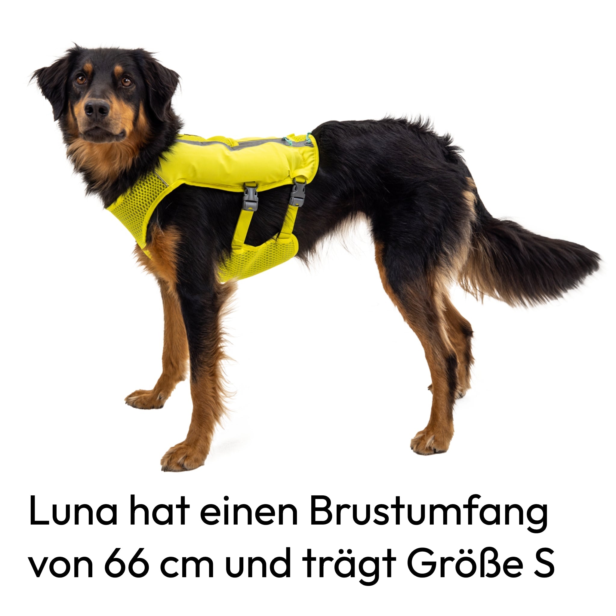 Ruffwear Trail Runner Running Vest – Ultraleichte Laufweste & Trinkrucksack für aktive Hunde - Woofshack