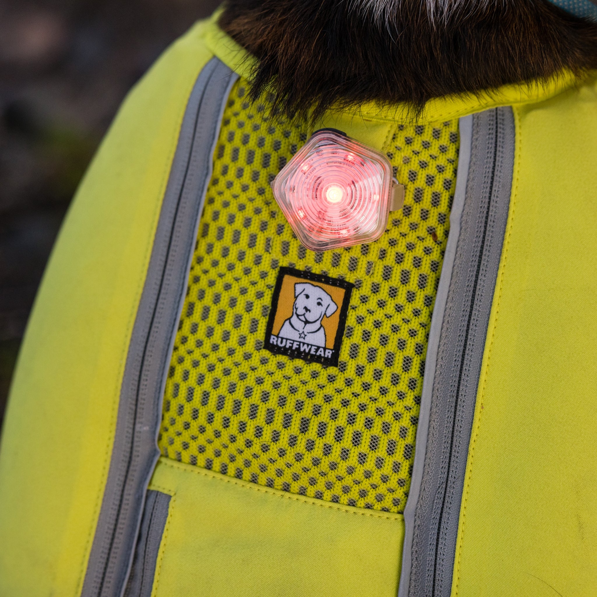 Ruffwear Trail Runner Running Vest – Ultraleichte Laufweste & Trinkrucksack für aktive Hunde - Woofshack