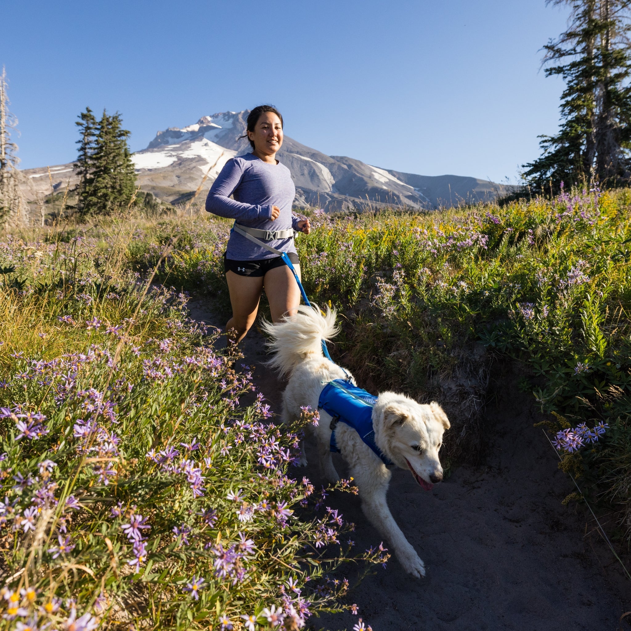 Ruffwear Trail Runner Running Vest – Ultraleichte Laufweste & Trinkrucksack für aktive Hunde - Woofshack