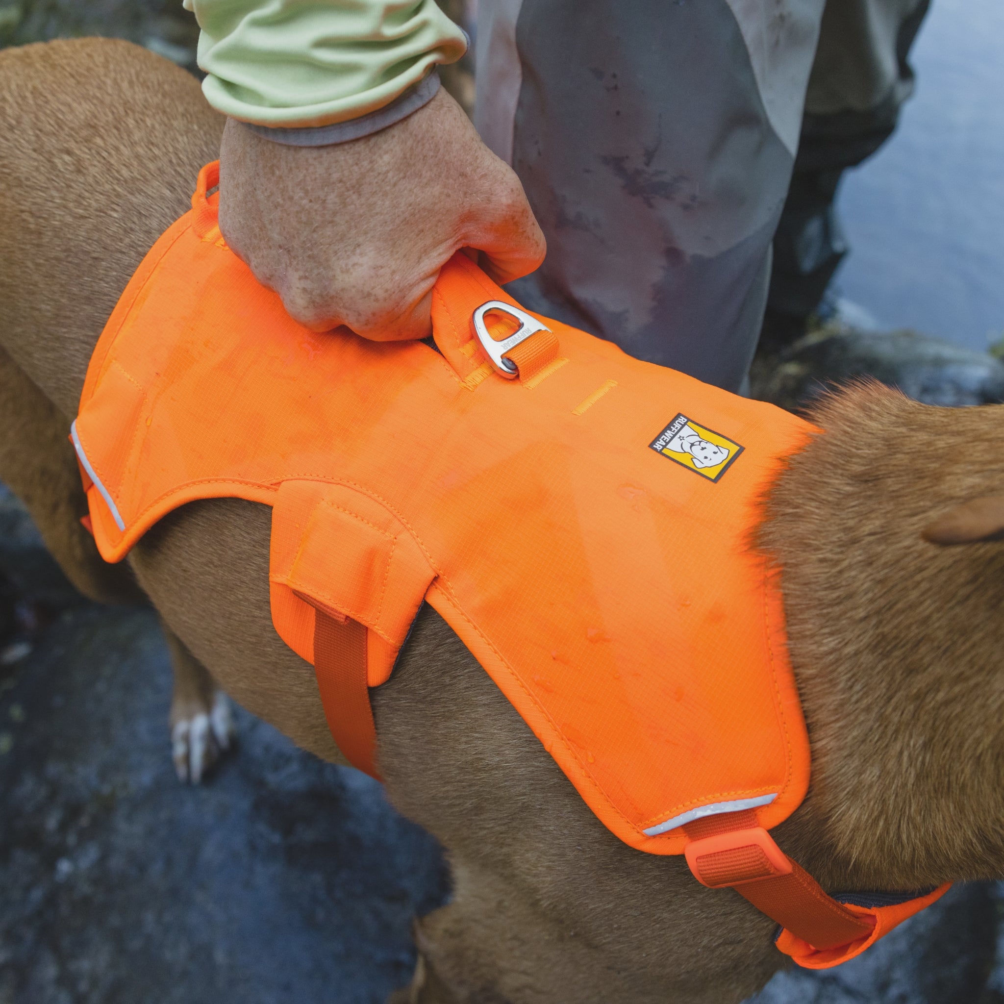 Ruffwear Web Master Harness Hundegeschirr – Ausbruchsicheres Premium-Sicherheitsgeschirr mit 5 Anpassungspunkten für maximale Kontrolle bei Wanderungen, Training & Alltag