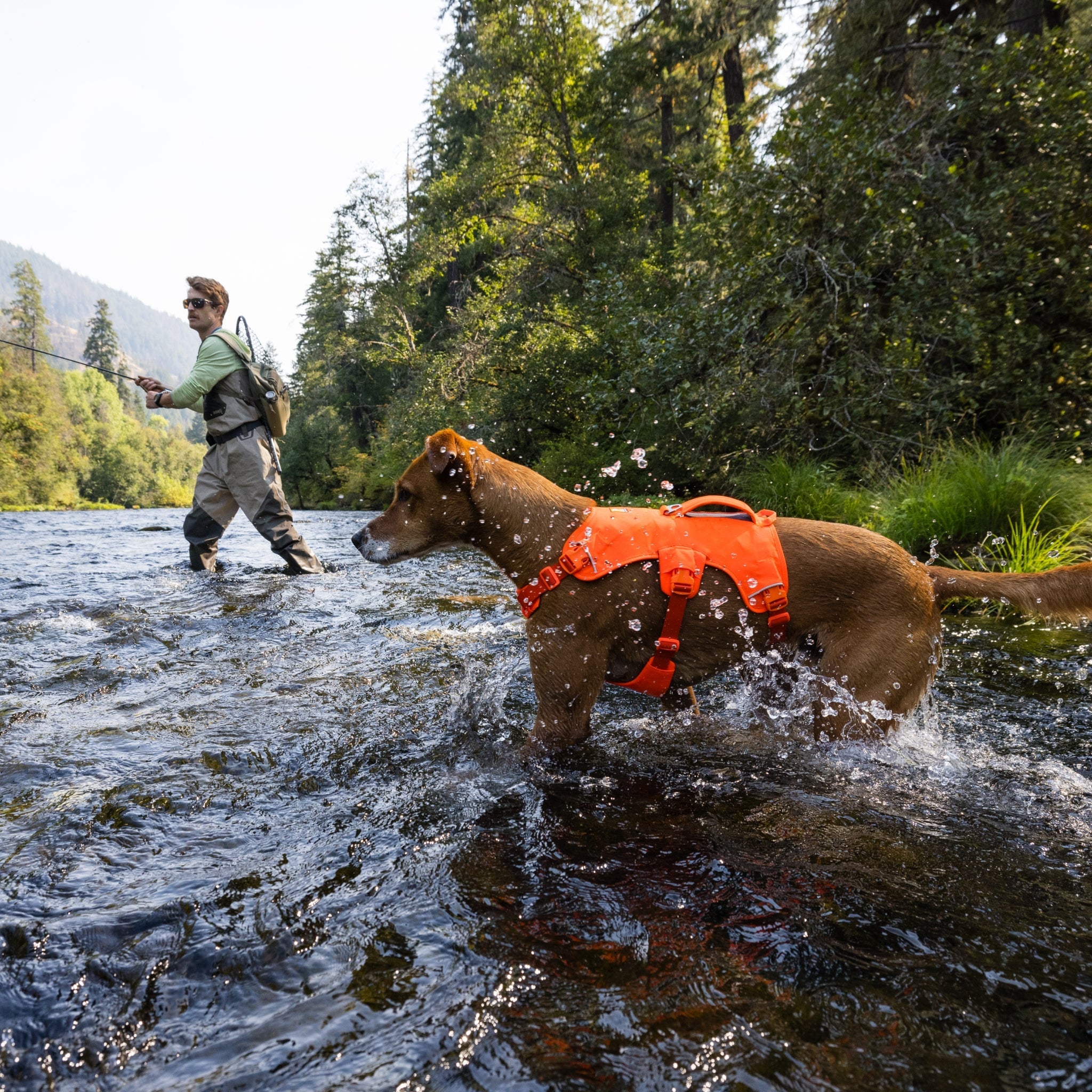 Ruffwear Web Master Hundegeschirr – Sicherer Halt für Abenteuer - Woofshack