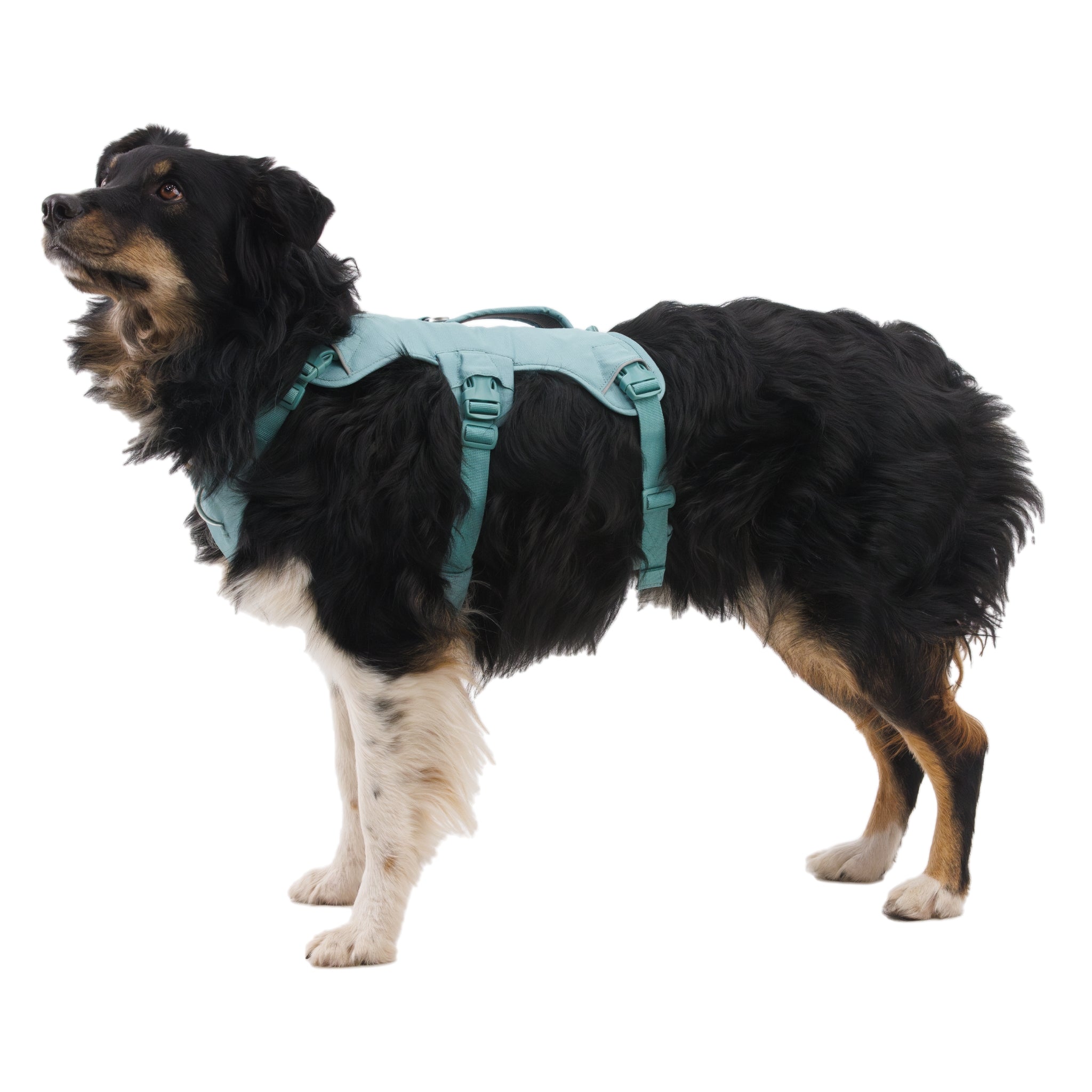 Ruffwear Web Master Hundegeschirr – Sicherer Halt für Abenteuer - Woofshack