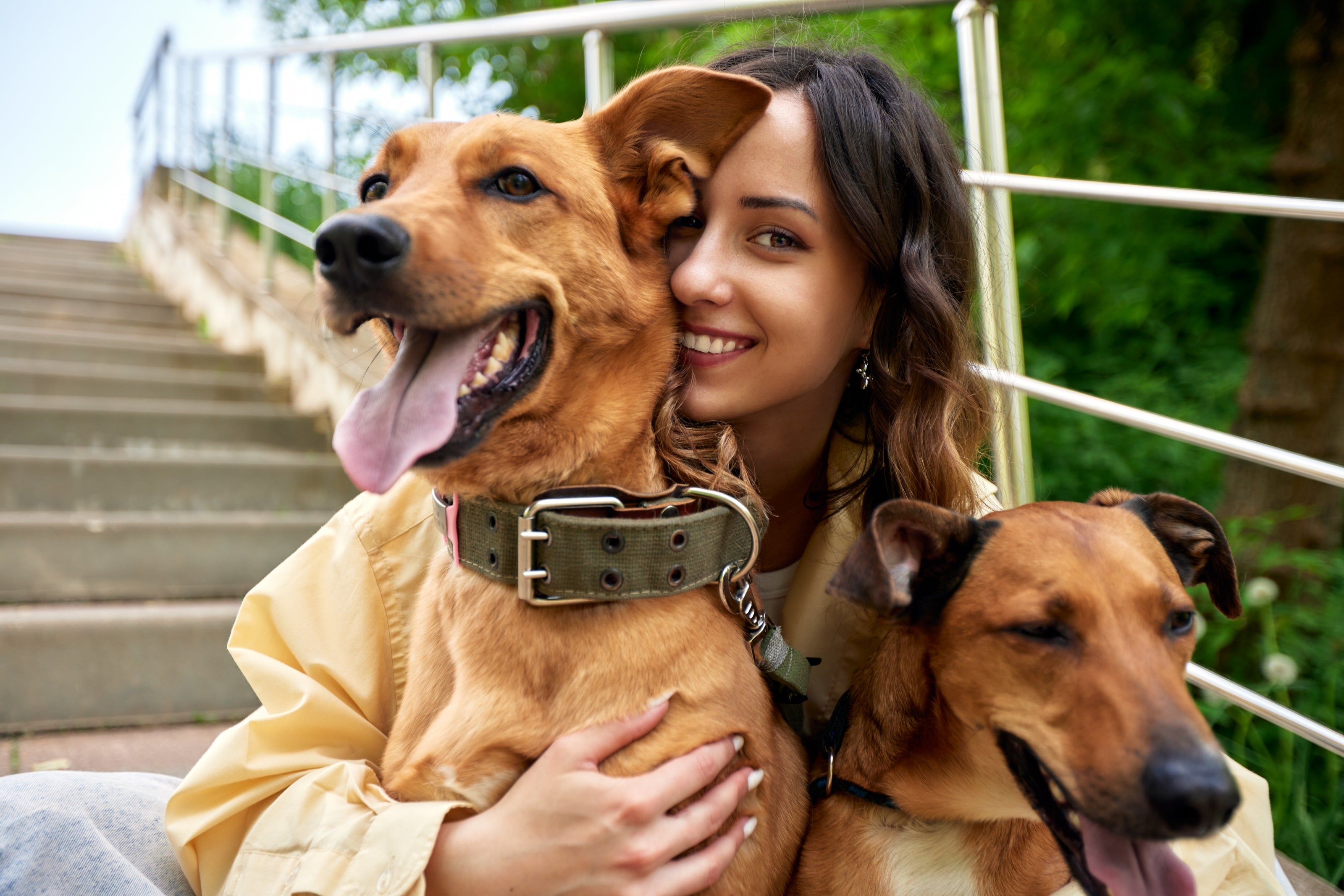 Das sagen unsere Kunden - Woofshack