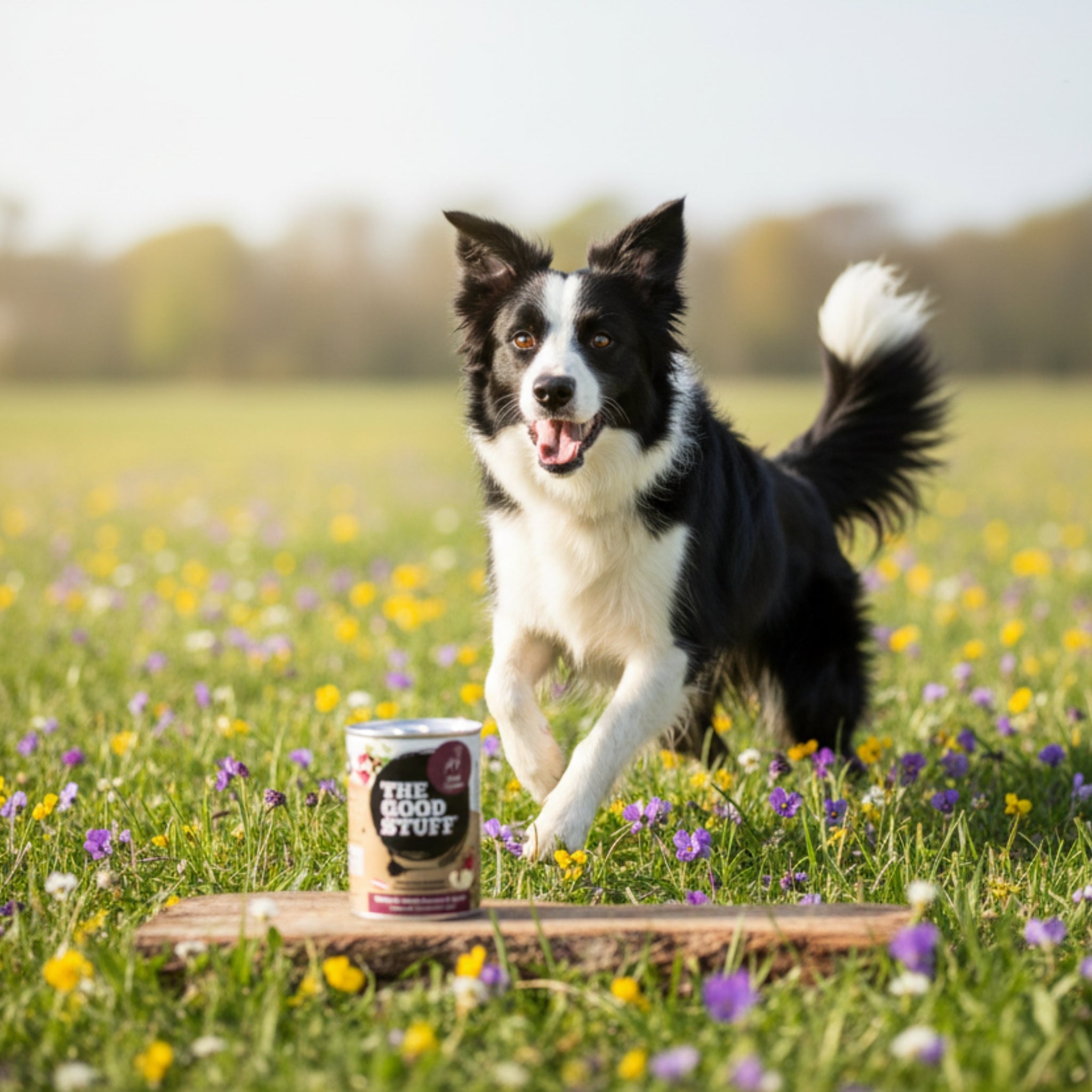 The Goodstuff Hunde Nassfutter Wild mit Preiselbeeren & Apfel – 70% Fleischanteil, getreidefrei, natürlich & gesund für alle Rassen - Woofshack