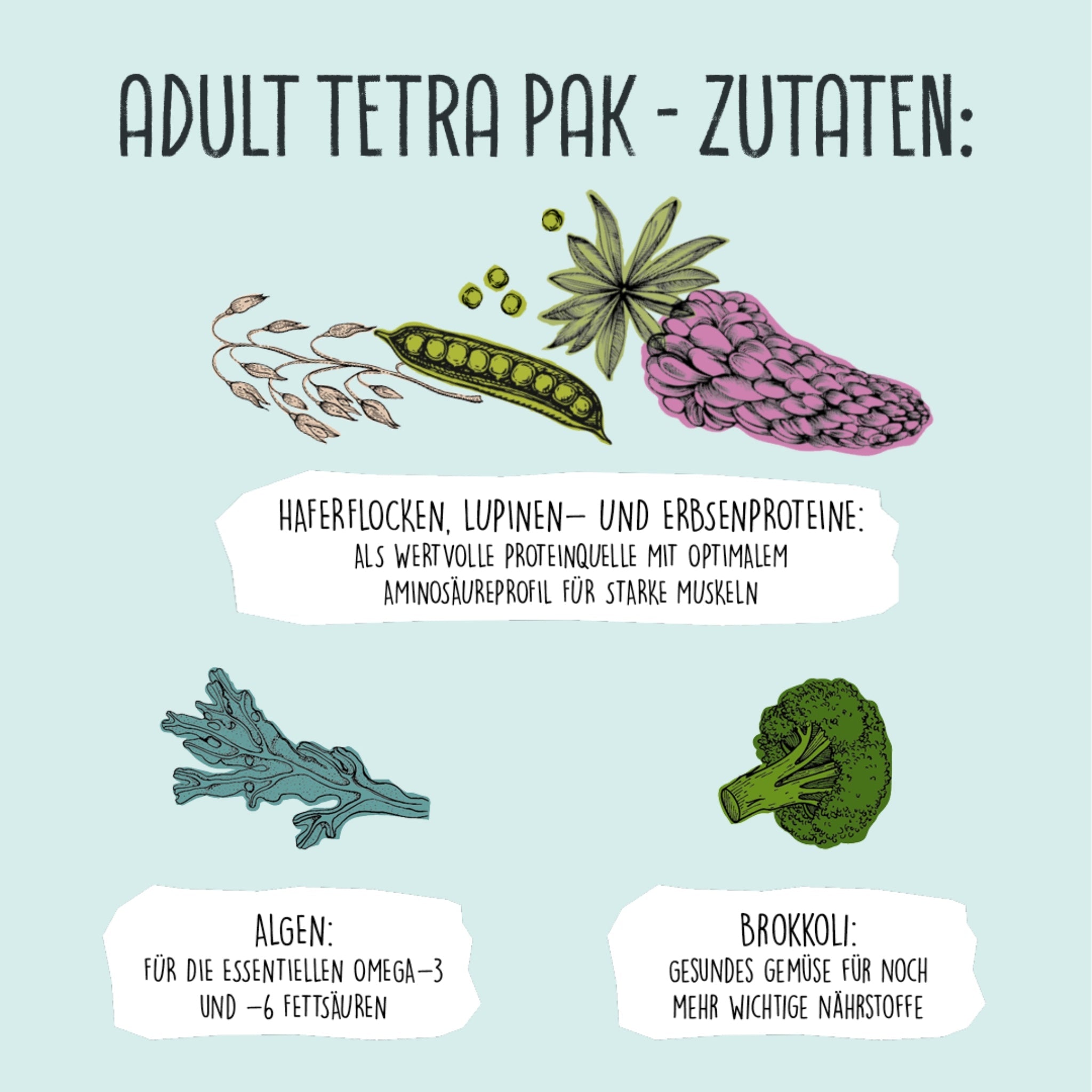 VEGDOG Adult Erbsen & Haferflocken, Hunde Nassfutter - Woofshack