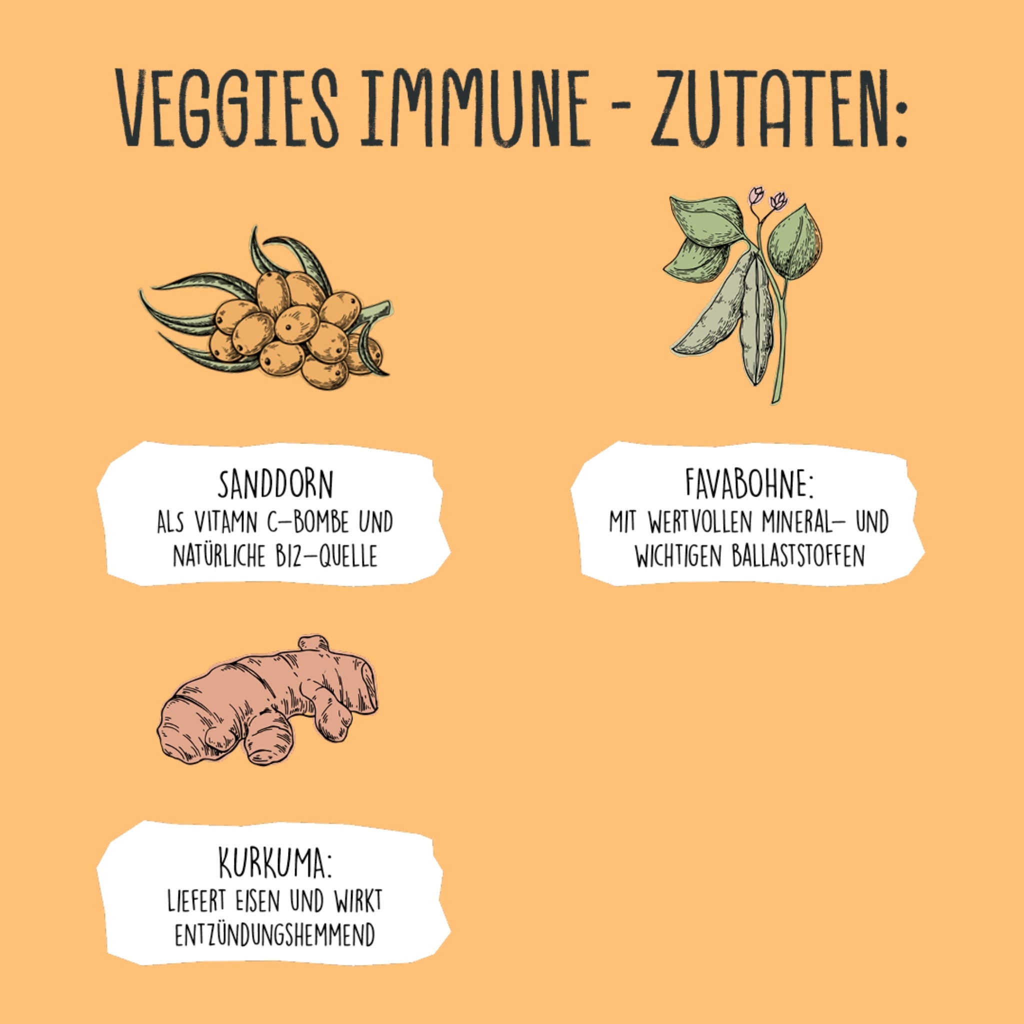 VEGDOG Veggies Immune, Veganer Hundesnack