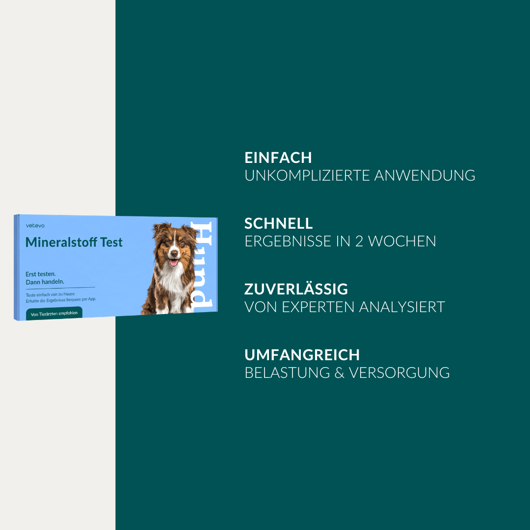 Vetevo Mineralstoff Test Plus Hund – Fellanalyse auf 19 Mineralstoffe, Spurenelemente & toxische Metalle | Schwermetall-Belastung erkennen | Einfach zuhause testen - Woofshack