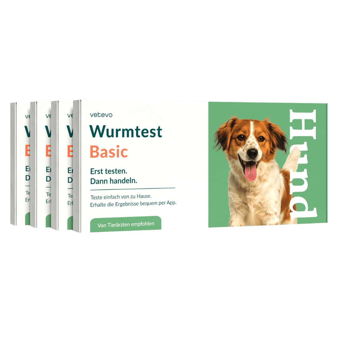 Vetevo Wurmtest Basic für Hunde – Zuverlässige Kotprobe auf 7 Wurmarten & Parasiten, einfach zuhause - Woofshack