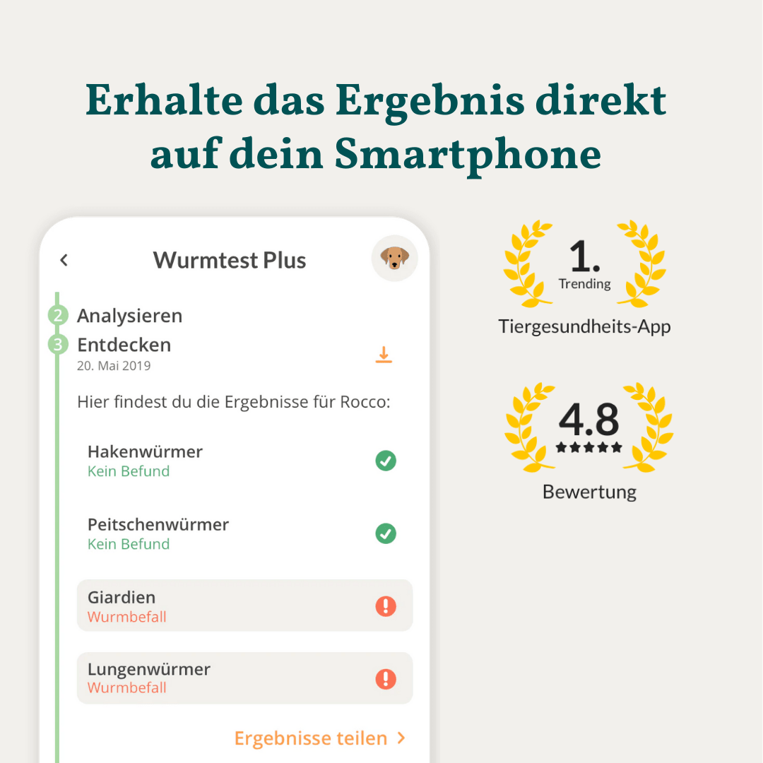 Vetevo Wurmtest Plus Hund – Zuverlässiger Kottest auf 9 Parasiten inkl. Lungenwürmer & Giardien - Woofshack