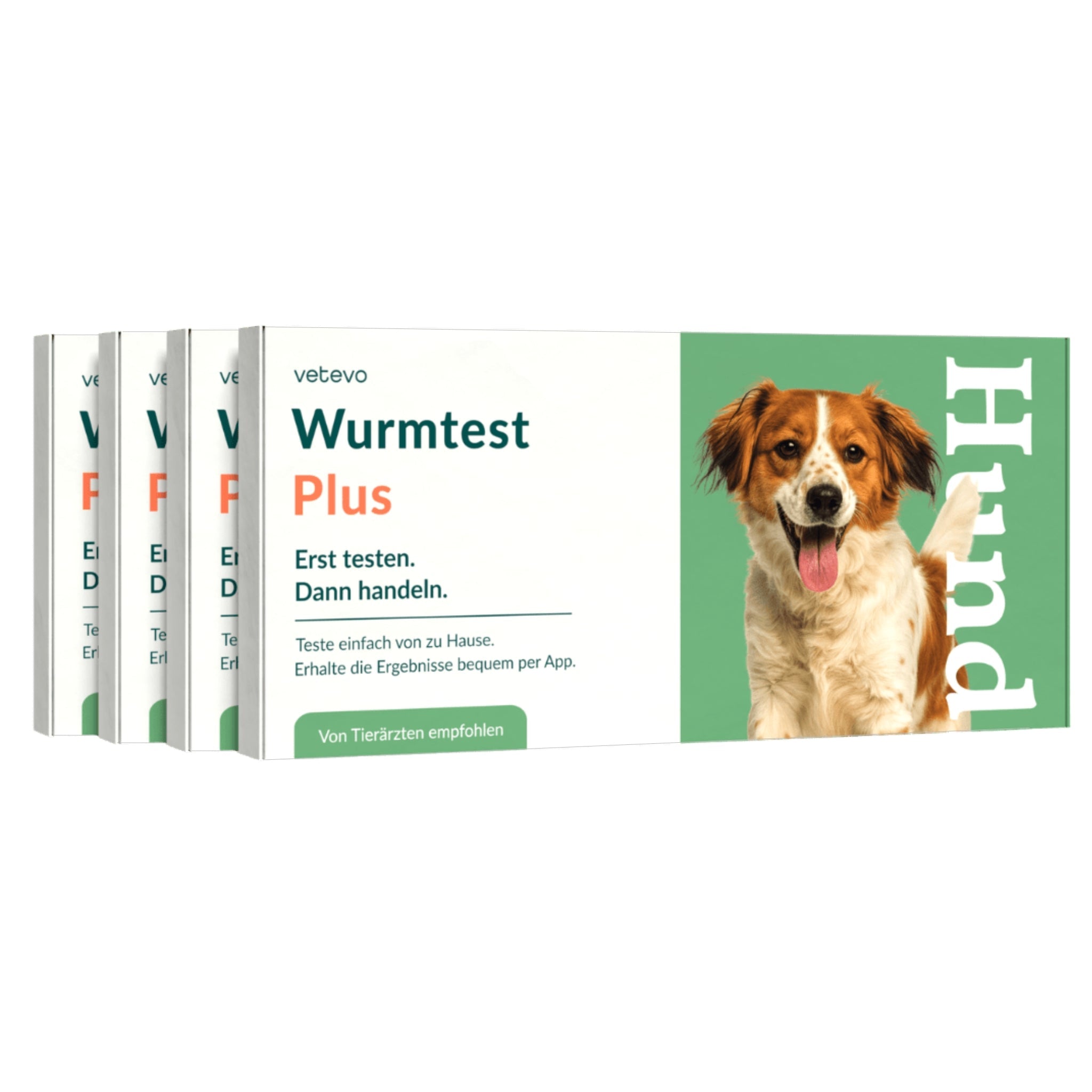 Vetevo Wurmtest Plus Hund – Zuverlässiger Kottest auf 9 Parasiten inkl. Lungenwürmer & Giardien - Woofshack