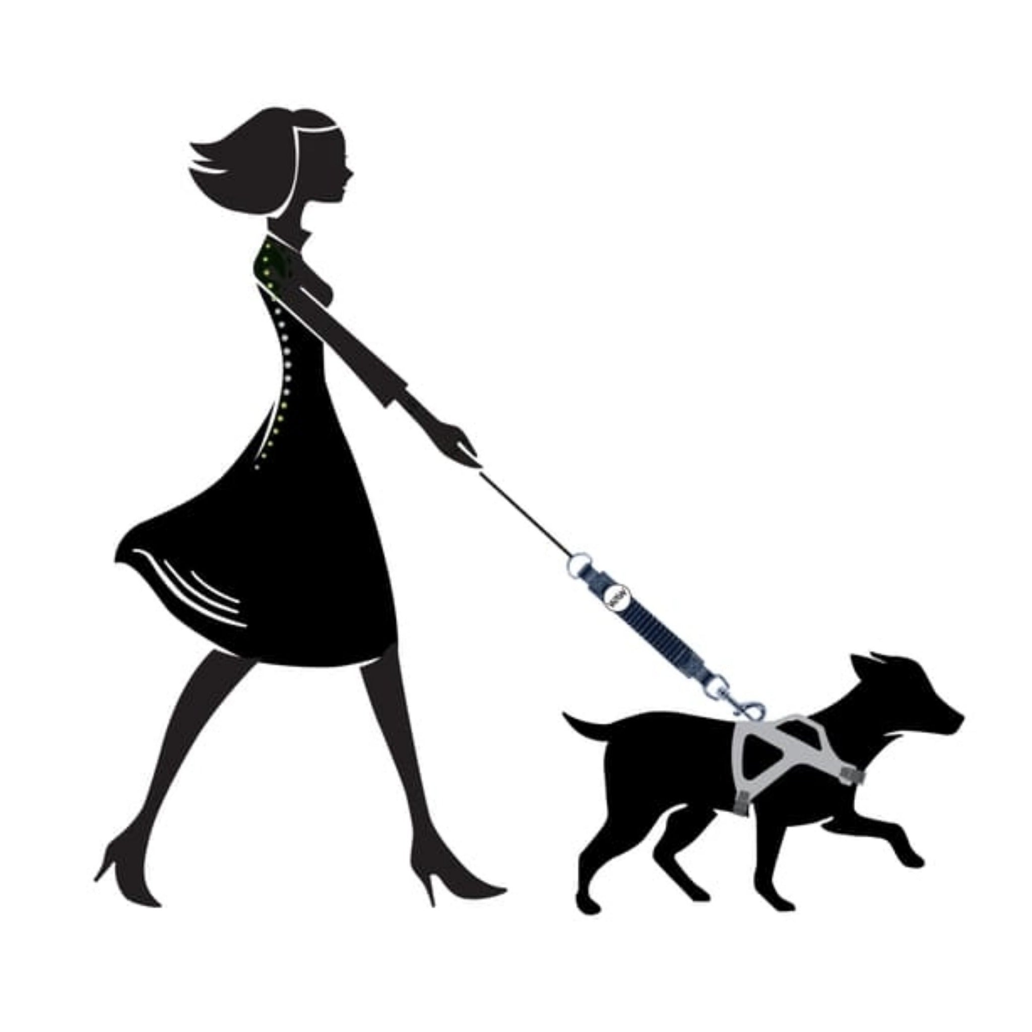 WAW Easy Dog Walk Ruckdämpfer - Woofshack