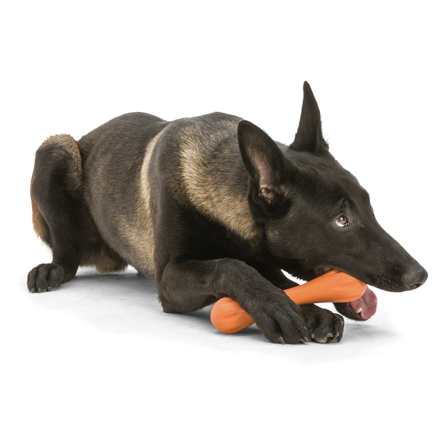 West Paw Zogoflex Hurley, Hundespielzeug - Woofshack