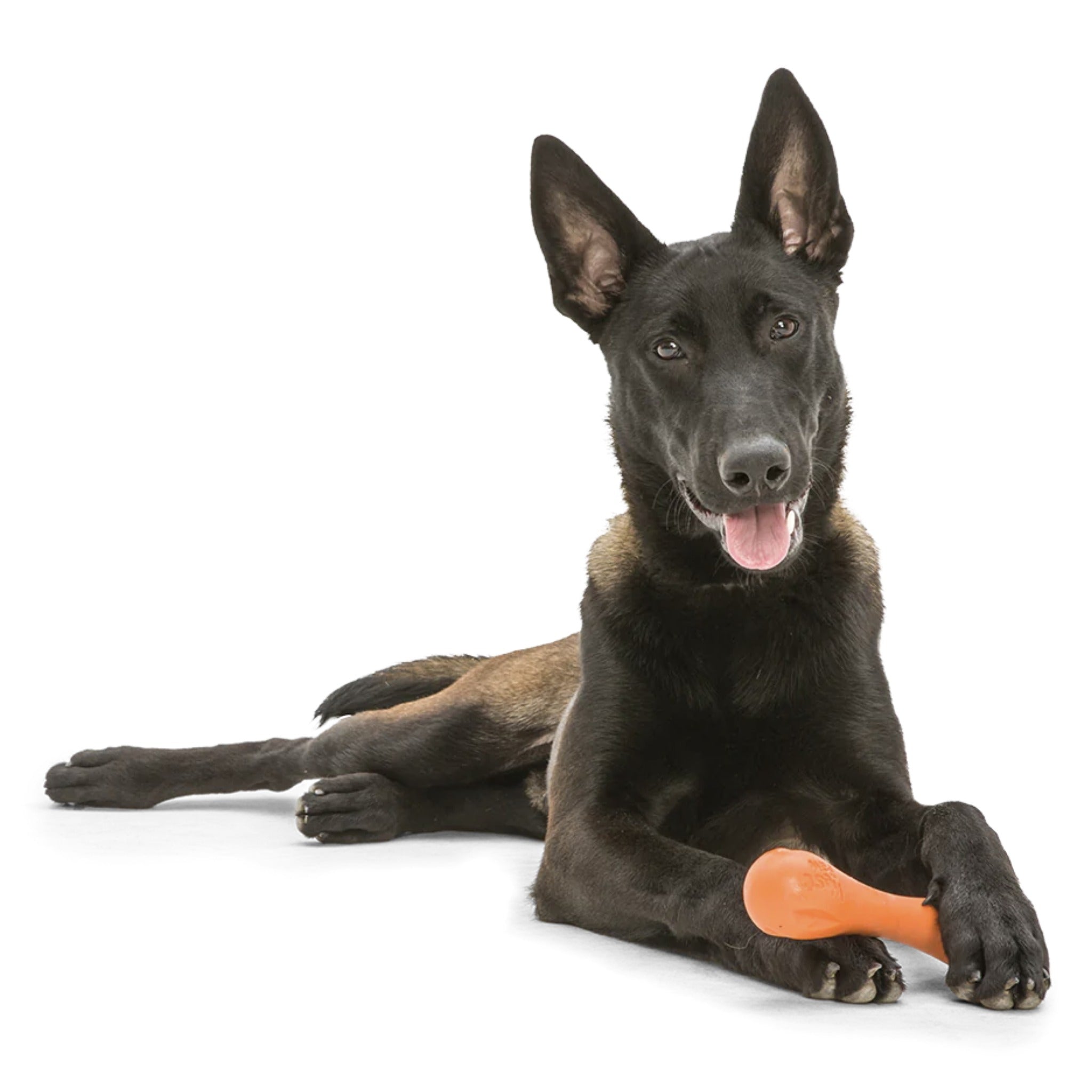 West Paw Zogoflex Hurley, Hundespielzeug - Woofshack