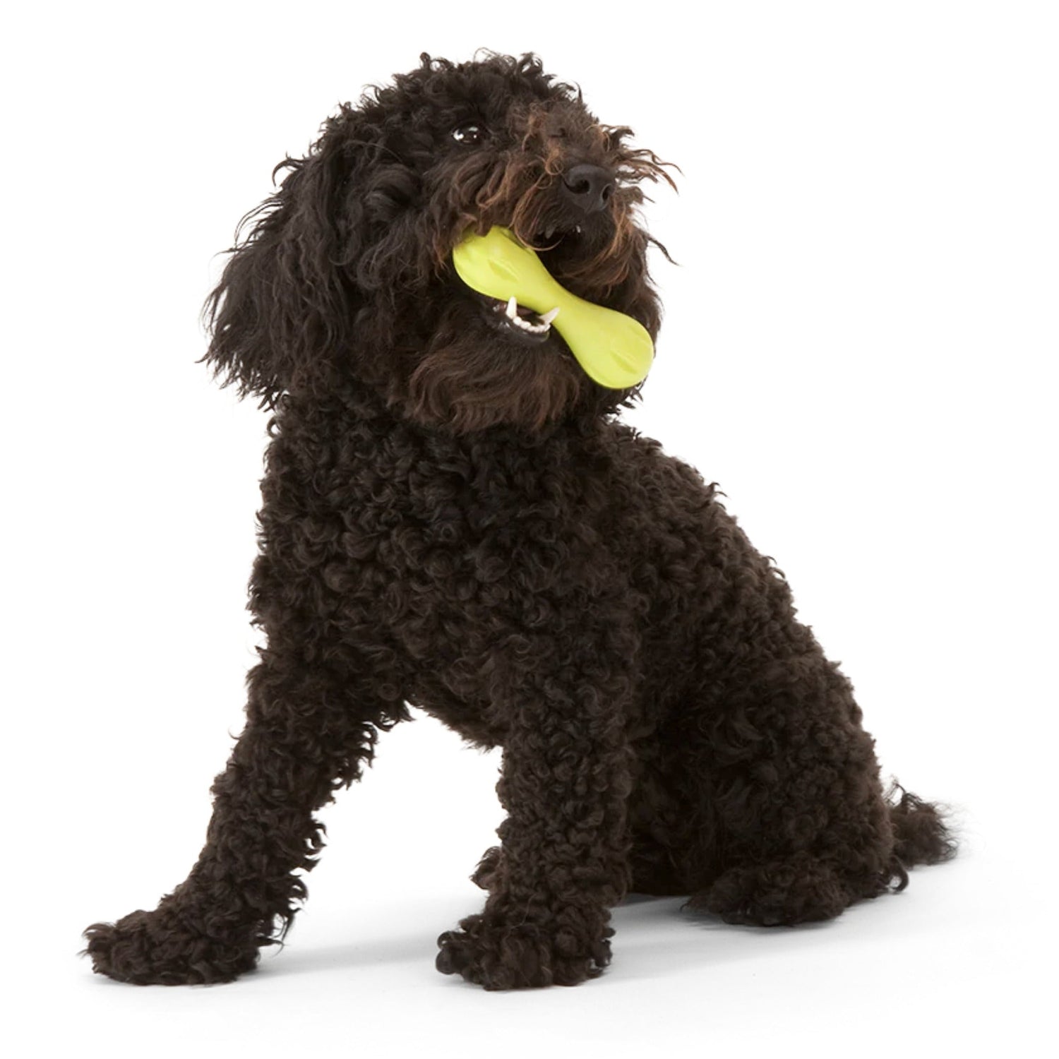 West Paw Zogoflex Hurley, Hundespielzeug - Woofshack