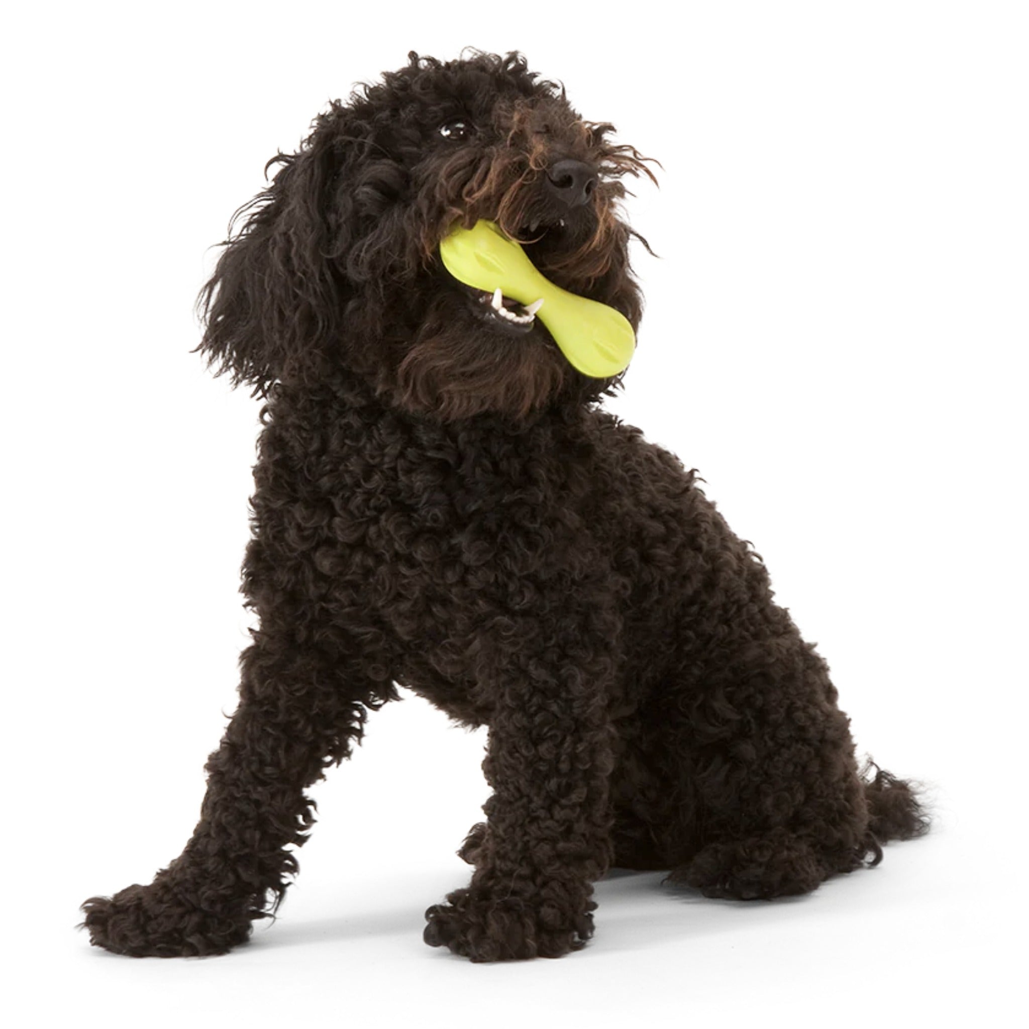 West Paw Zogoflex Hurley, Hundespielzeug - Woofshack