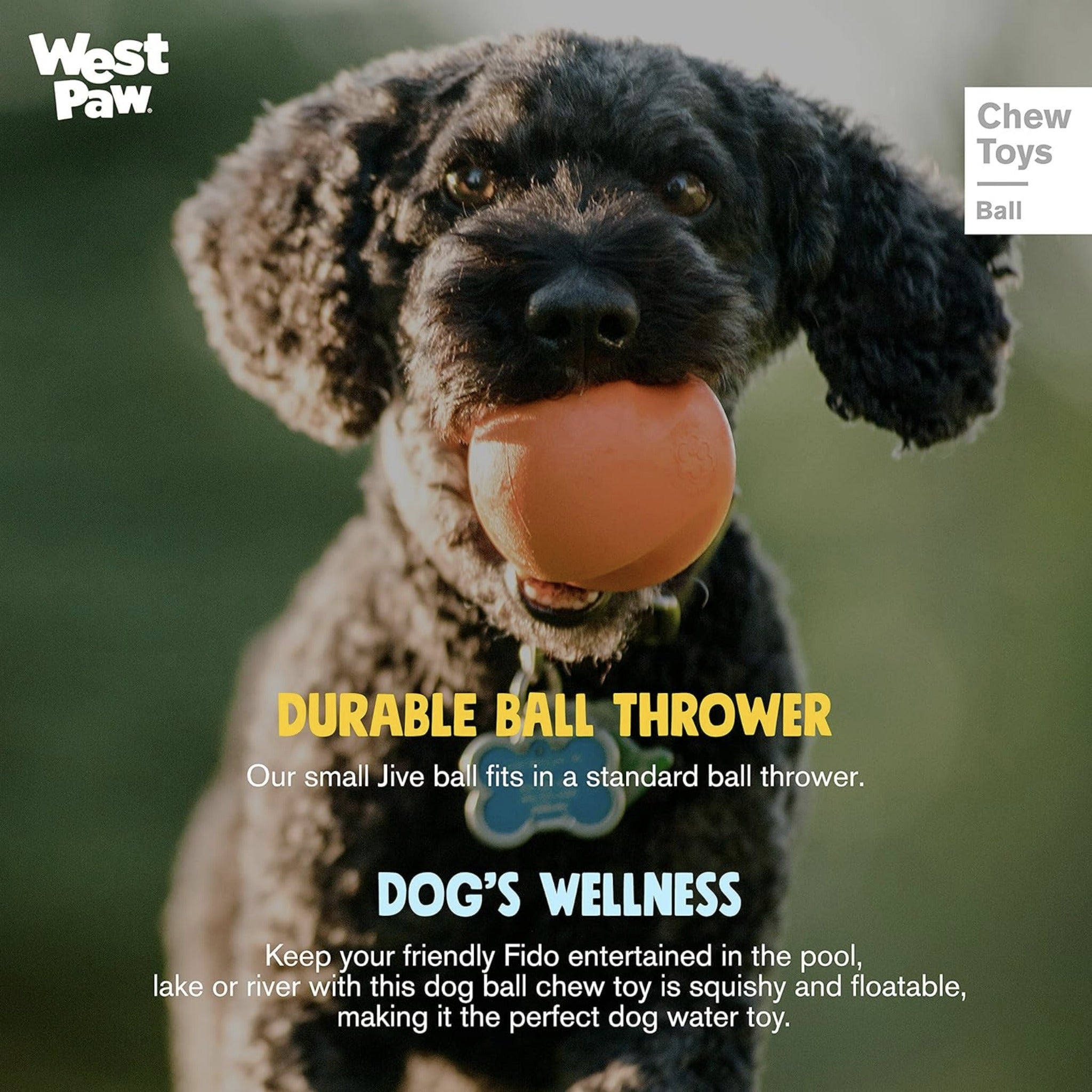 West Paw Zogoflex Jive, Hundespielzeug - Woofshack