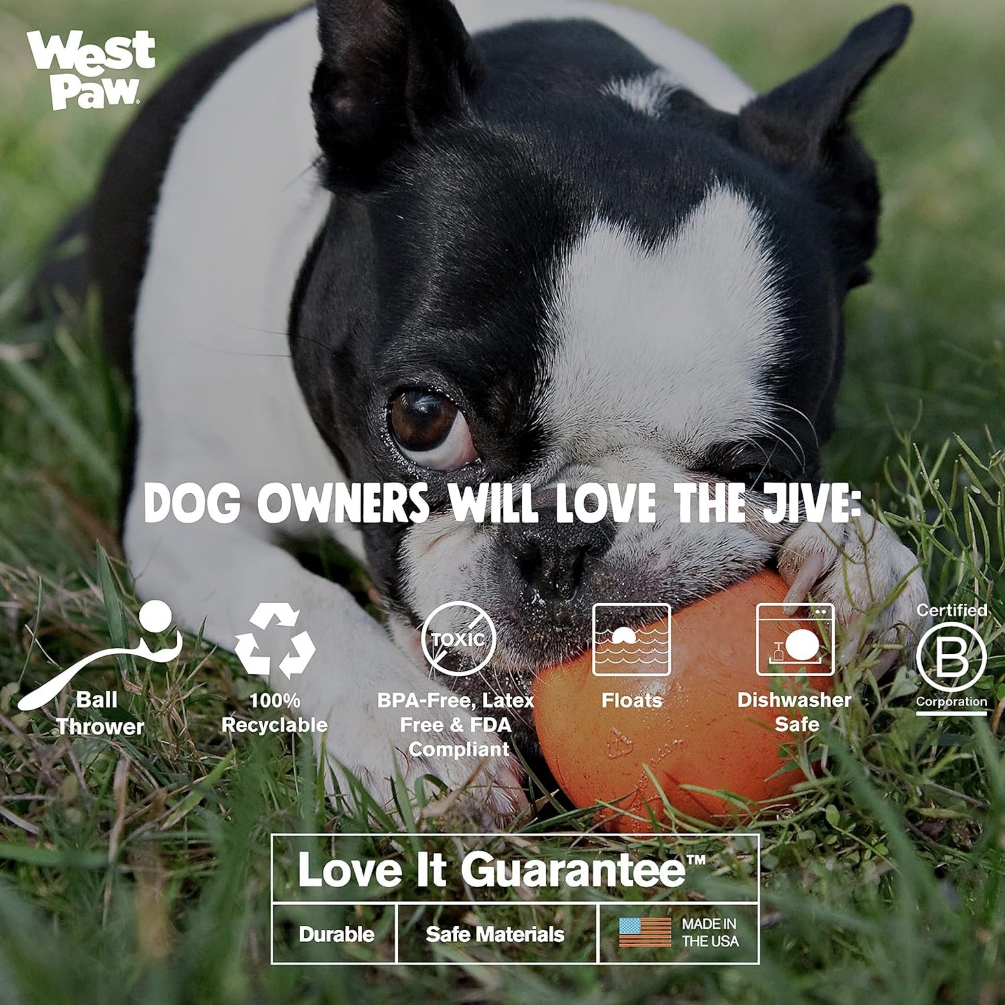 West Paw Zogoflex Jive, Hundespielzeug - Woofshack