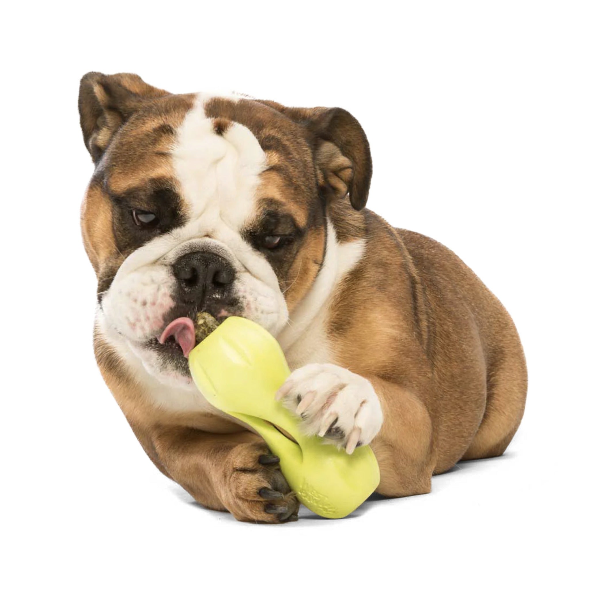 West Paw Zogoflex Qwizl, Hundespielzeug - Woofshack