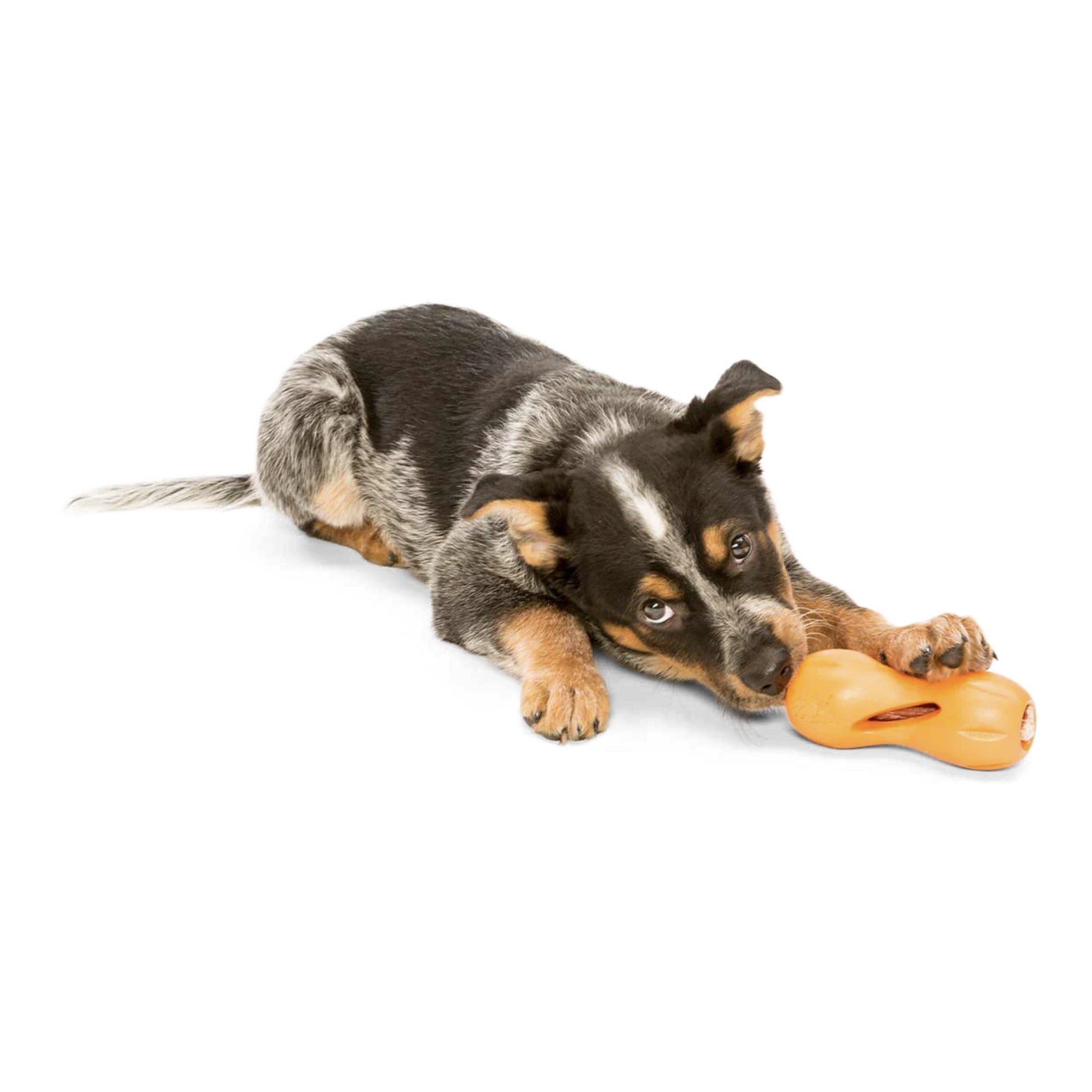 West Paw Zogoflex Qwizl, Hundespielzeug - Woofshack