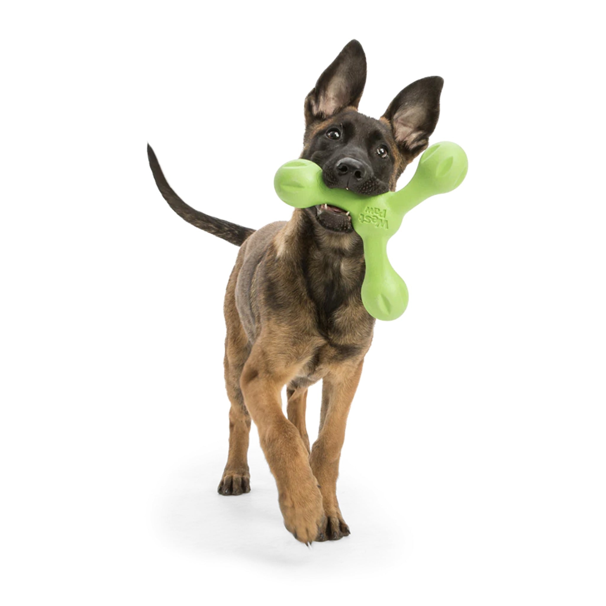 West Paw Zogoflex Skamp, Hundespielzeug - Woofshack