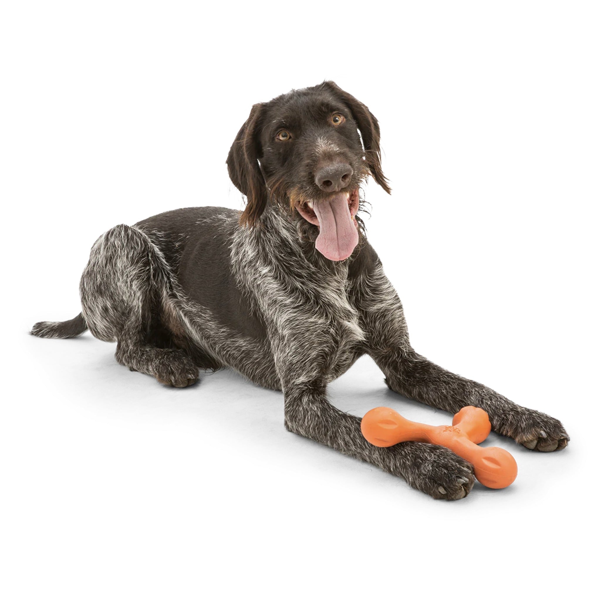 West Paw Zogoflex Skamp, Hundespielzeug - Woofshack