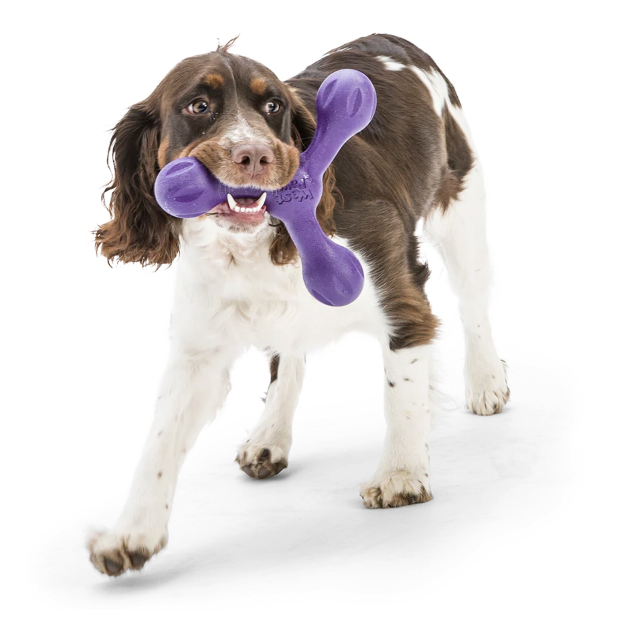West Paw Zogoflex Skamp, Hundespielzeug - Woofshack