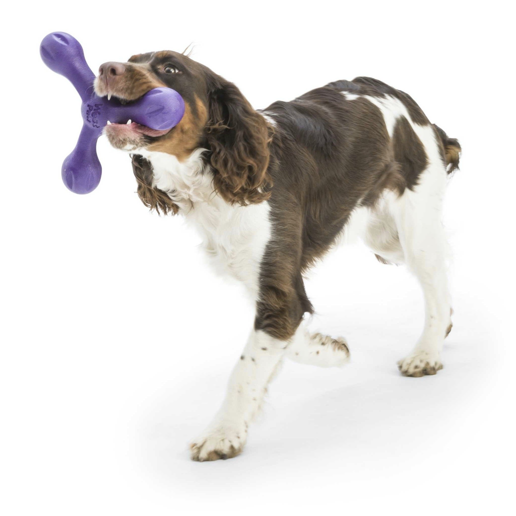 West Paw Zogoflex Skamp, Hundespielzeug - Woofshack