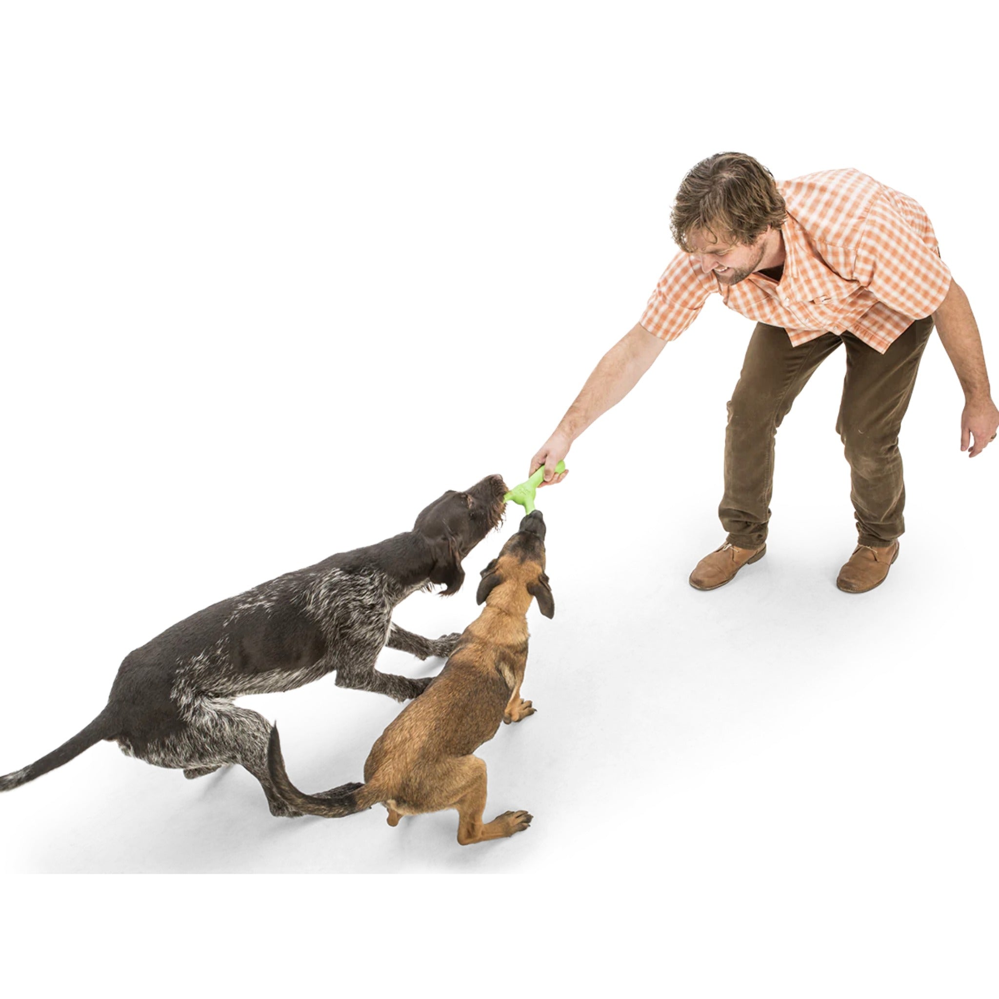 West Paw Zogoflex Skamp, Hundespielzeug - Woofshack