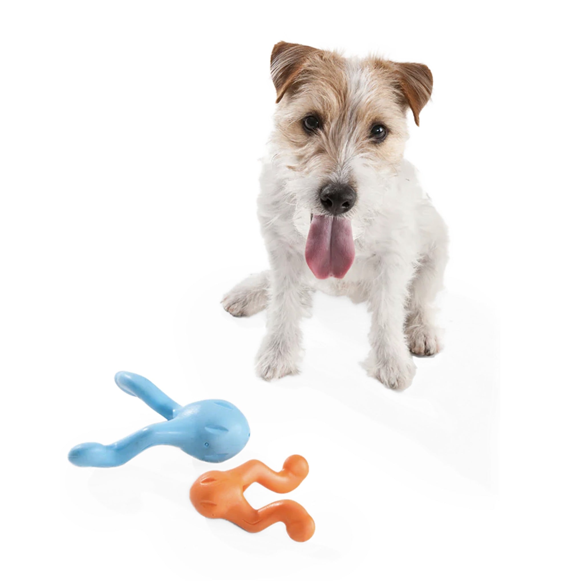 West Paw Zogoflex Tizzi, Hundespielzeug - Woofshack